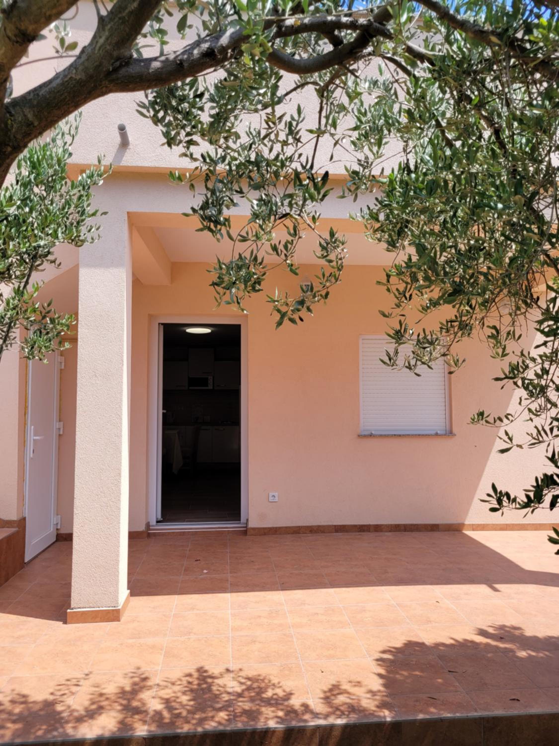 Studio with Terrace photo 2