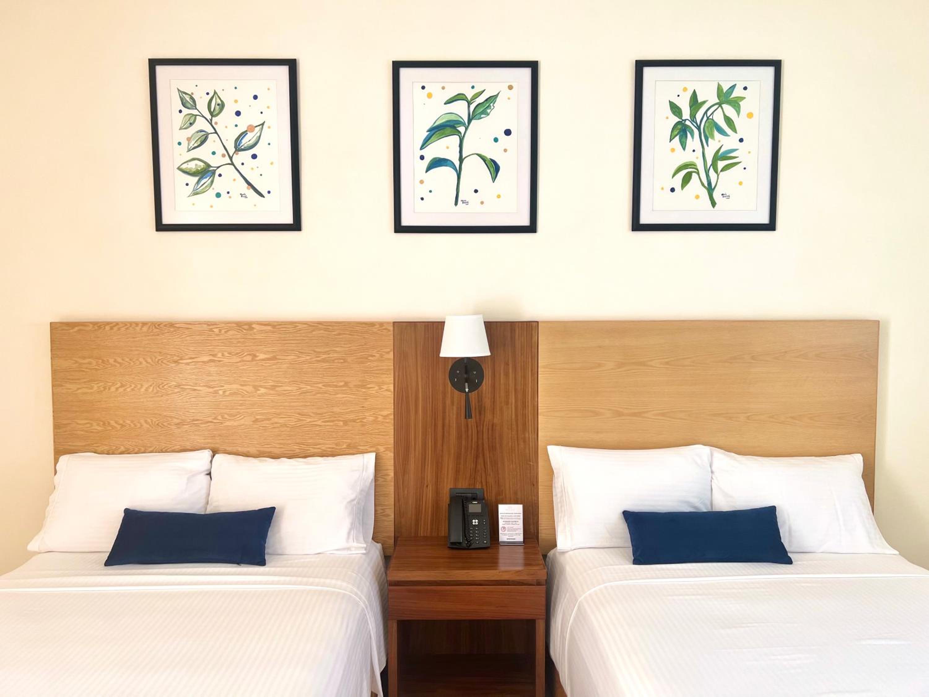 Twin Room photo 1