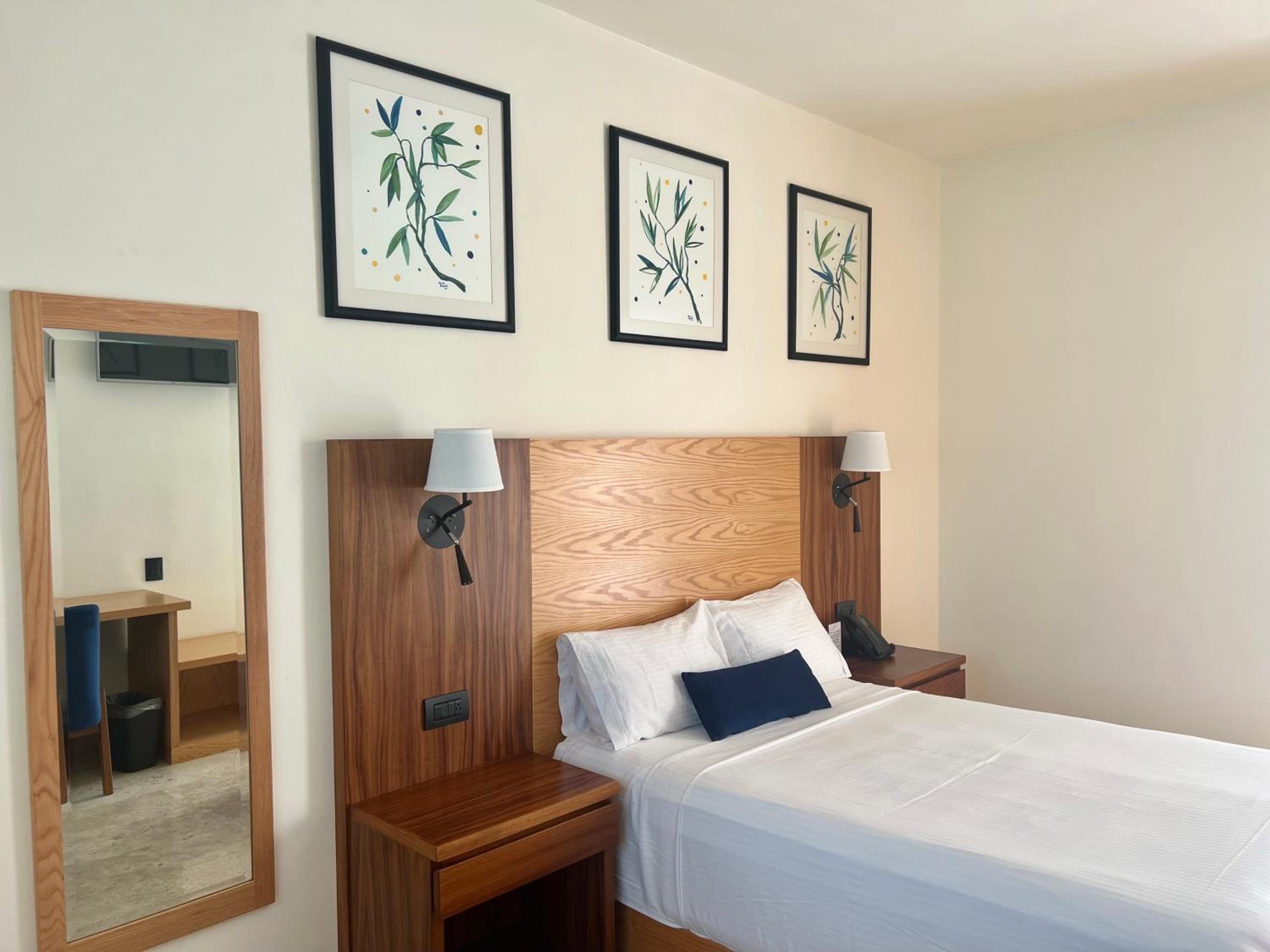 Single Room photo 1