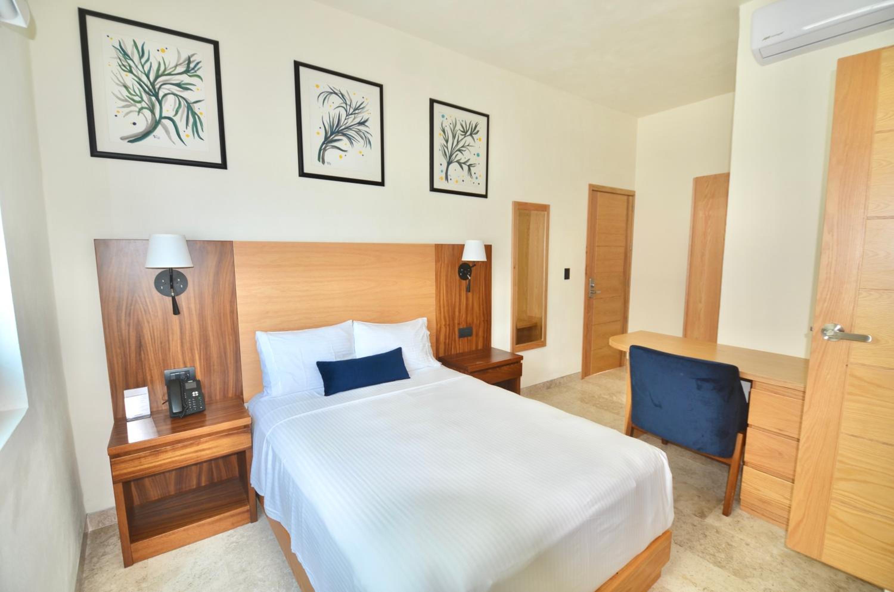 Single Room photo 3