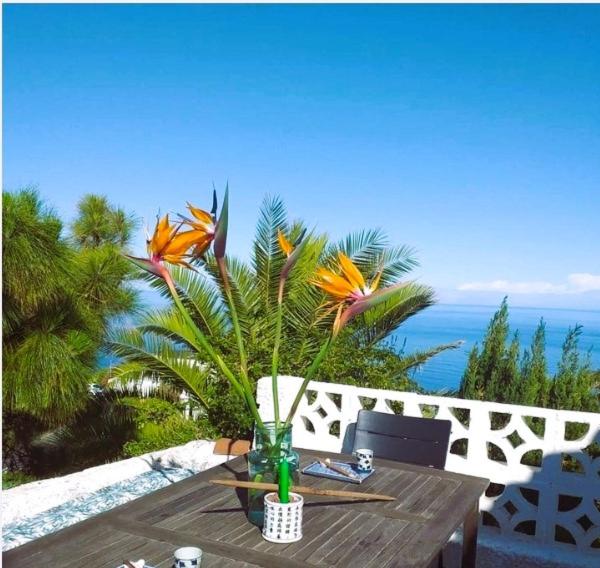 Villa with Sea View - Photo 9