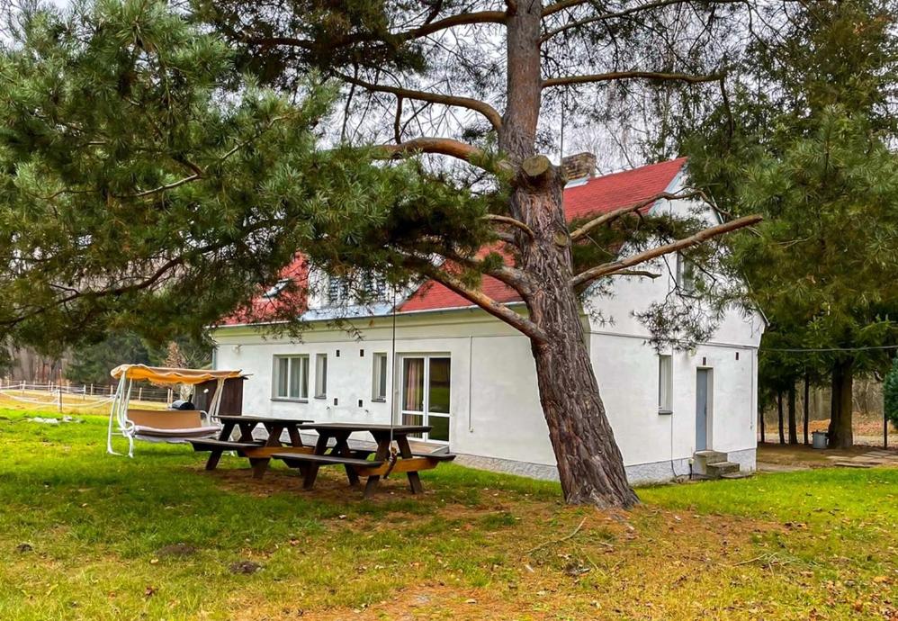 Five-Bedroom House photo 3