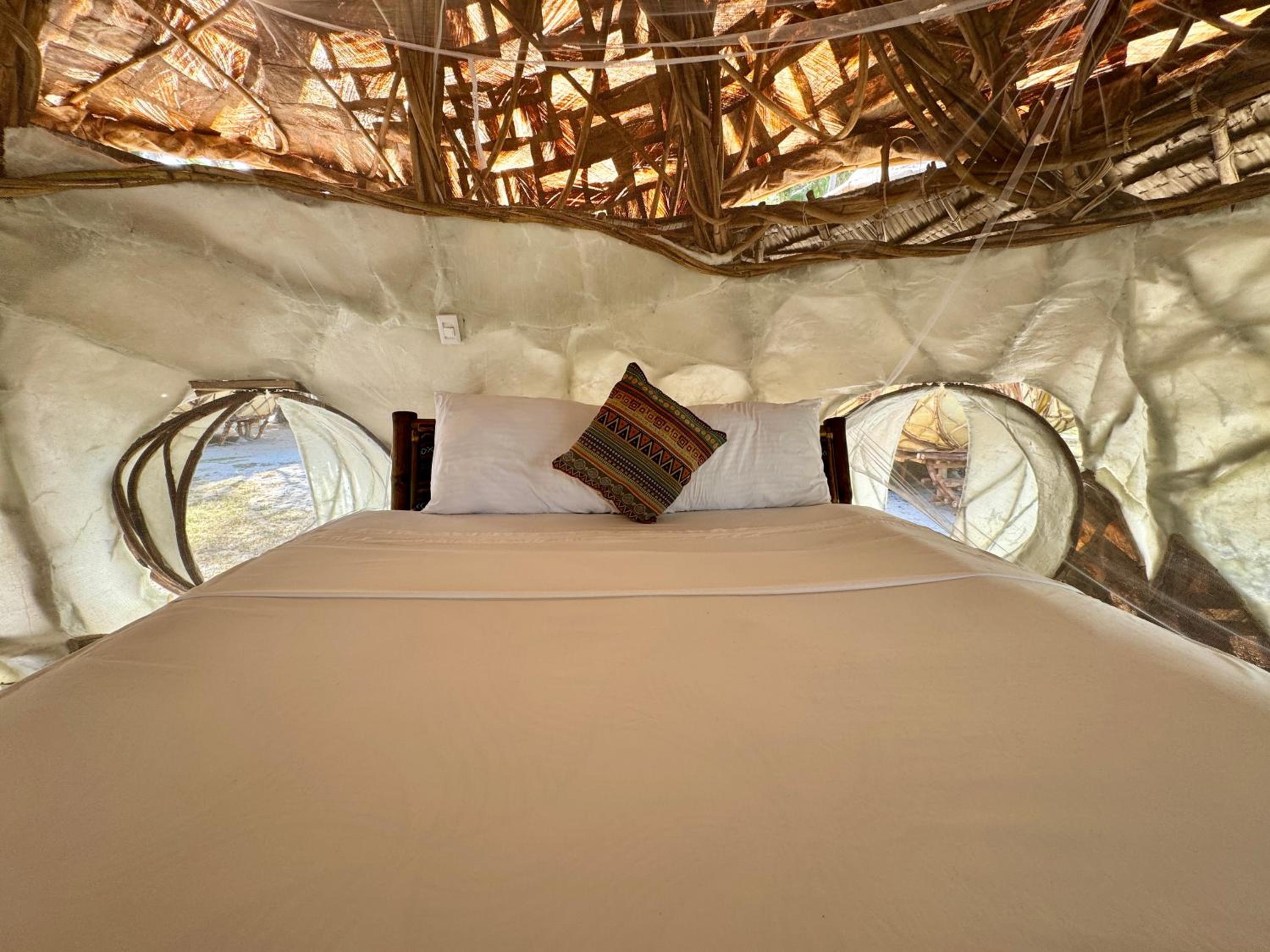 Puno Pod - Photo 7