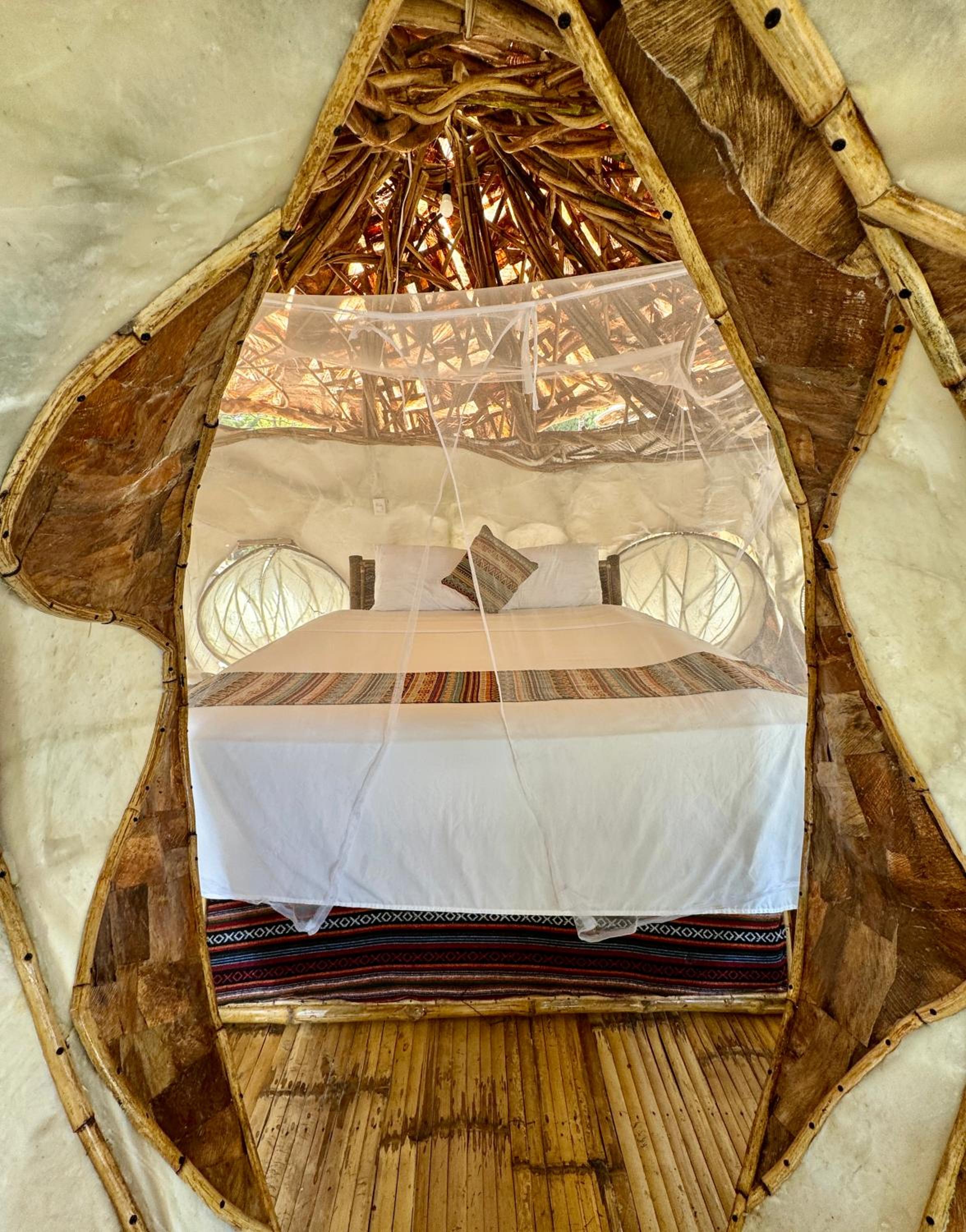 Puno Pod - Photo 10