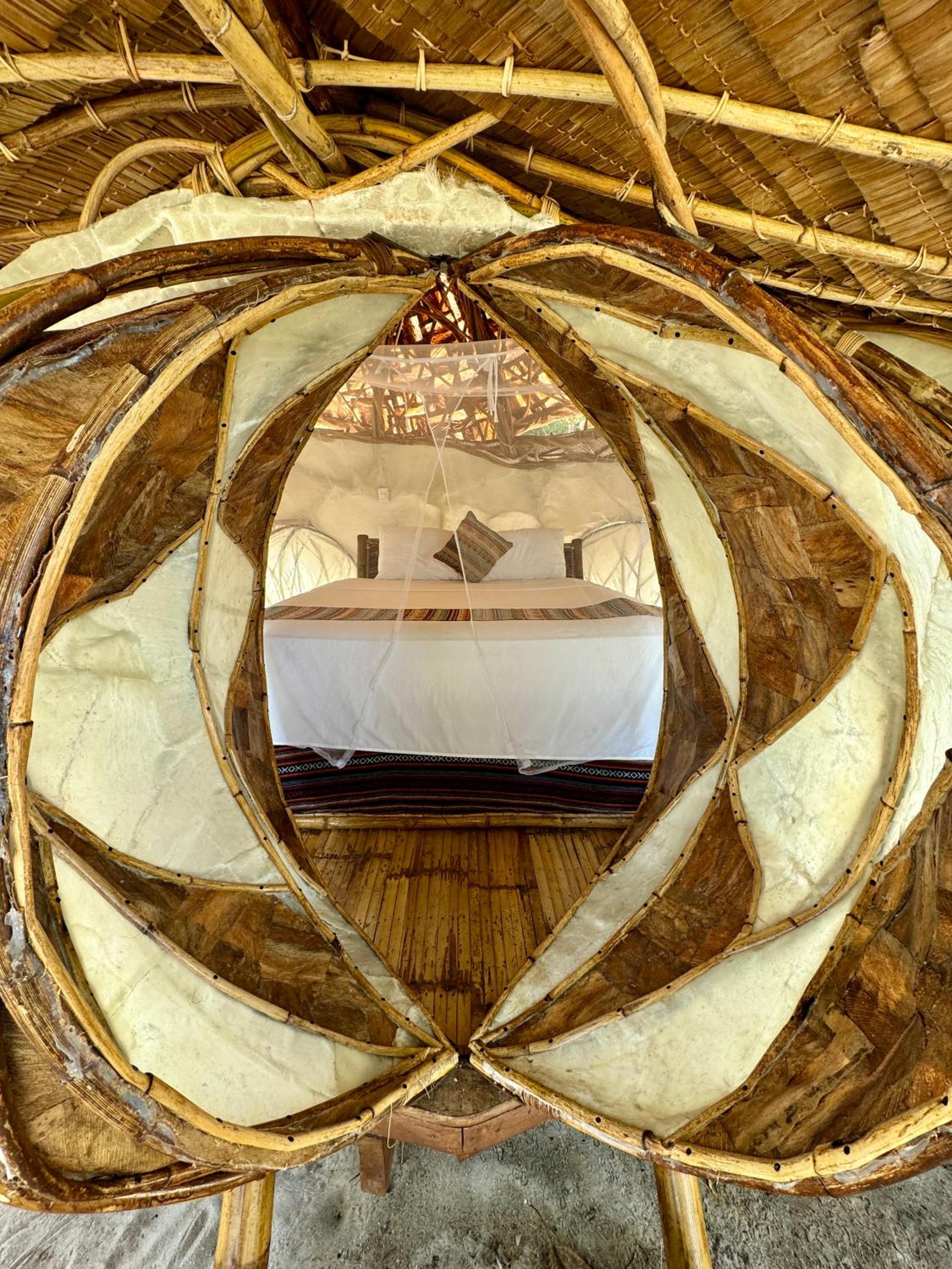 Puno Pod - Photo 3