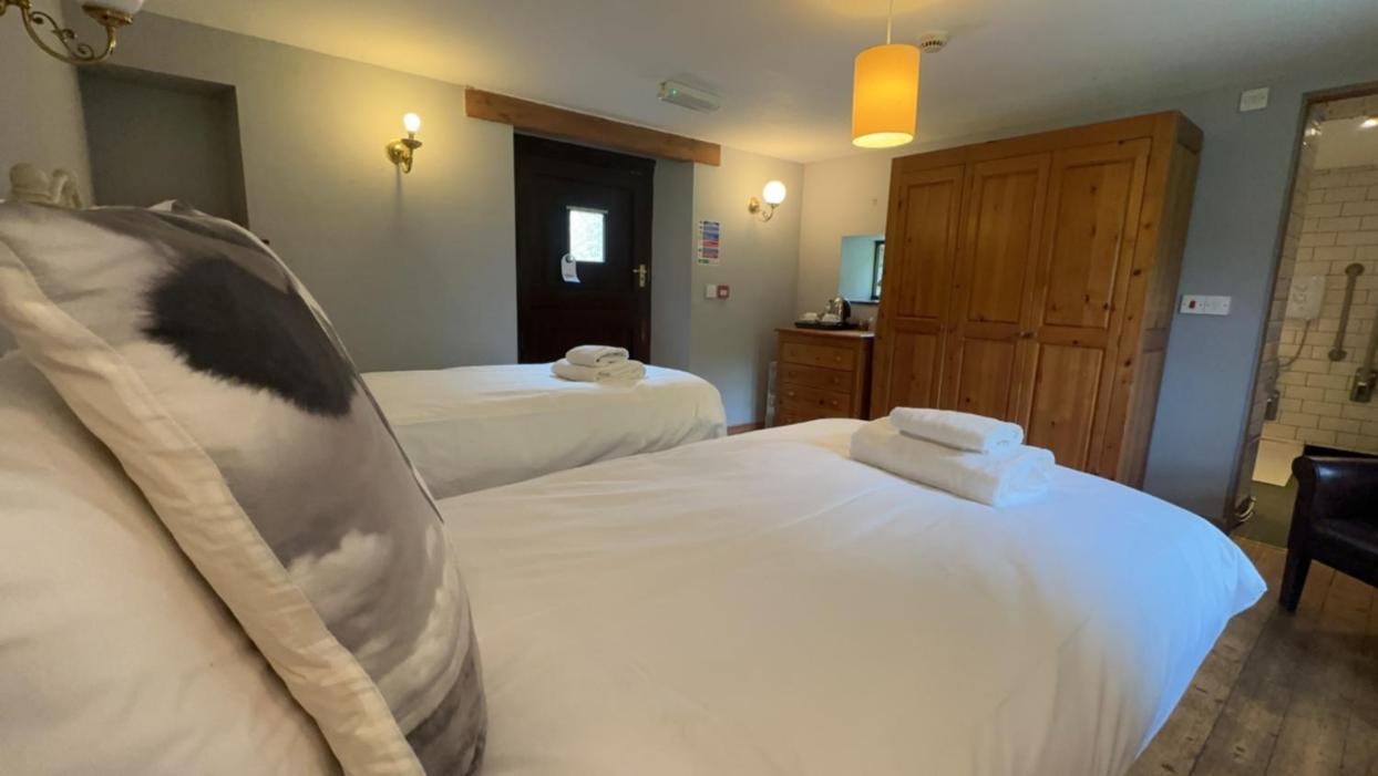 Standard Twin Room photo 2