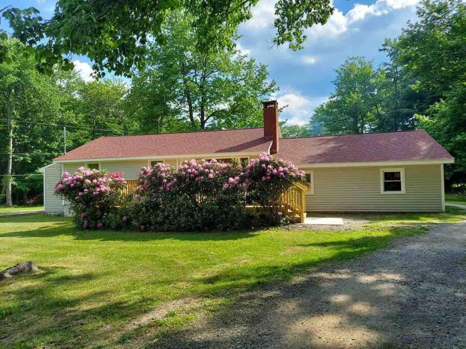 Four-Bedroom House photo 2