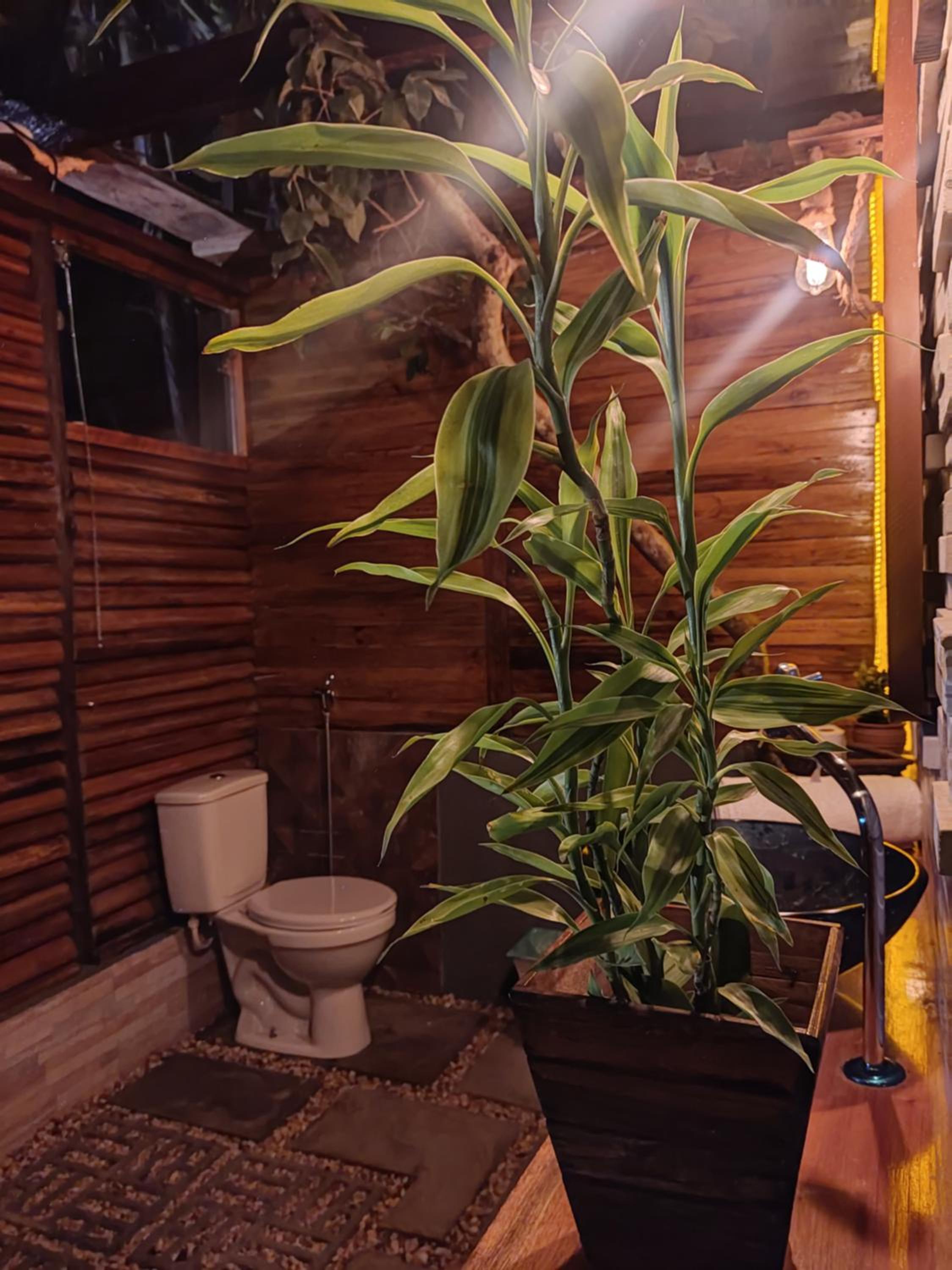 Bungalow - Photo 20