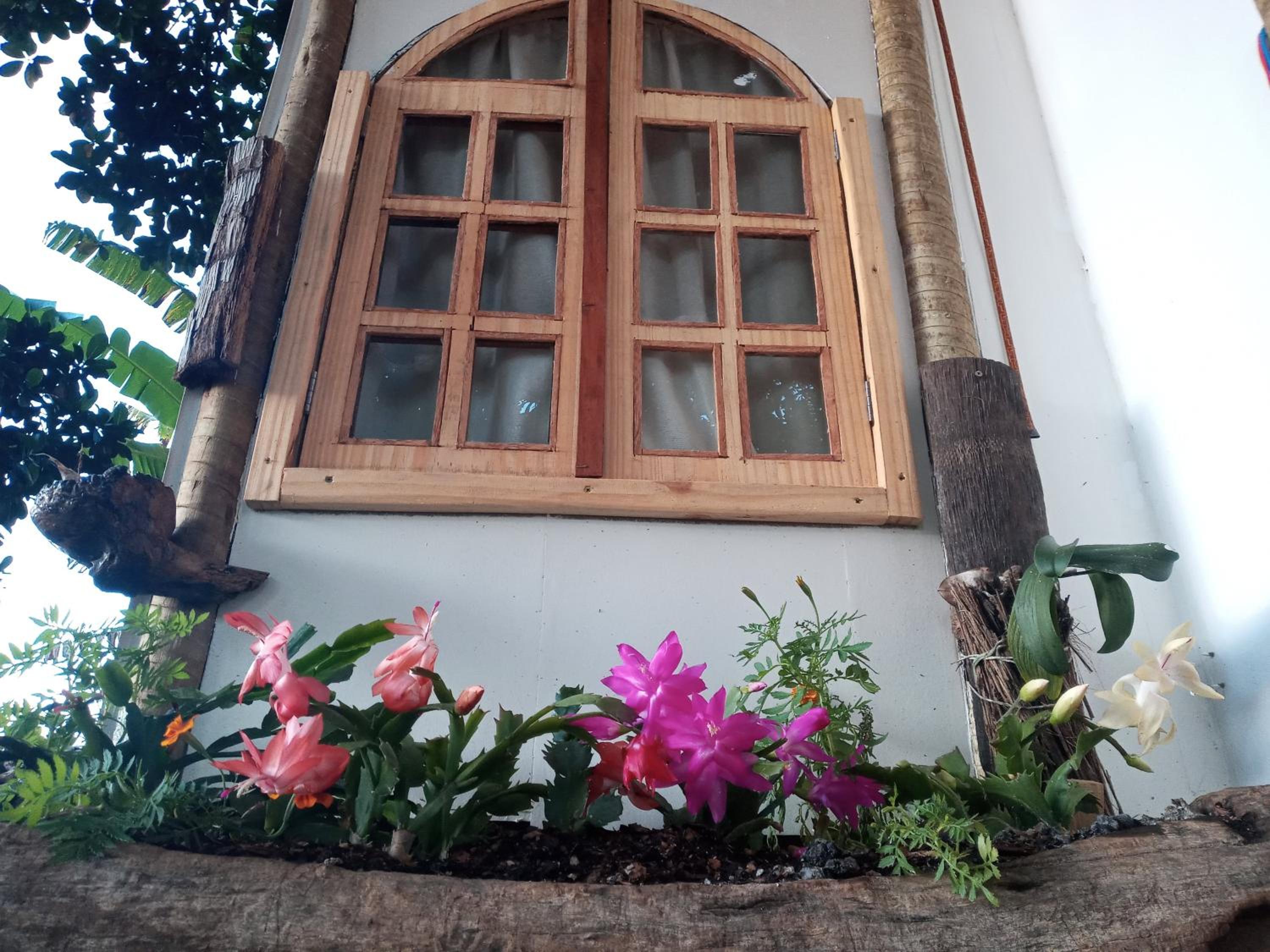 Bungalow - Photo 4