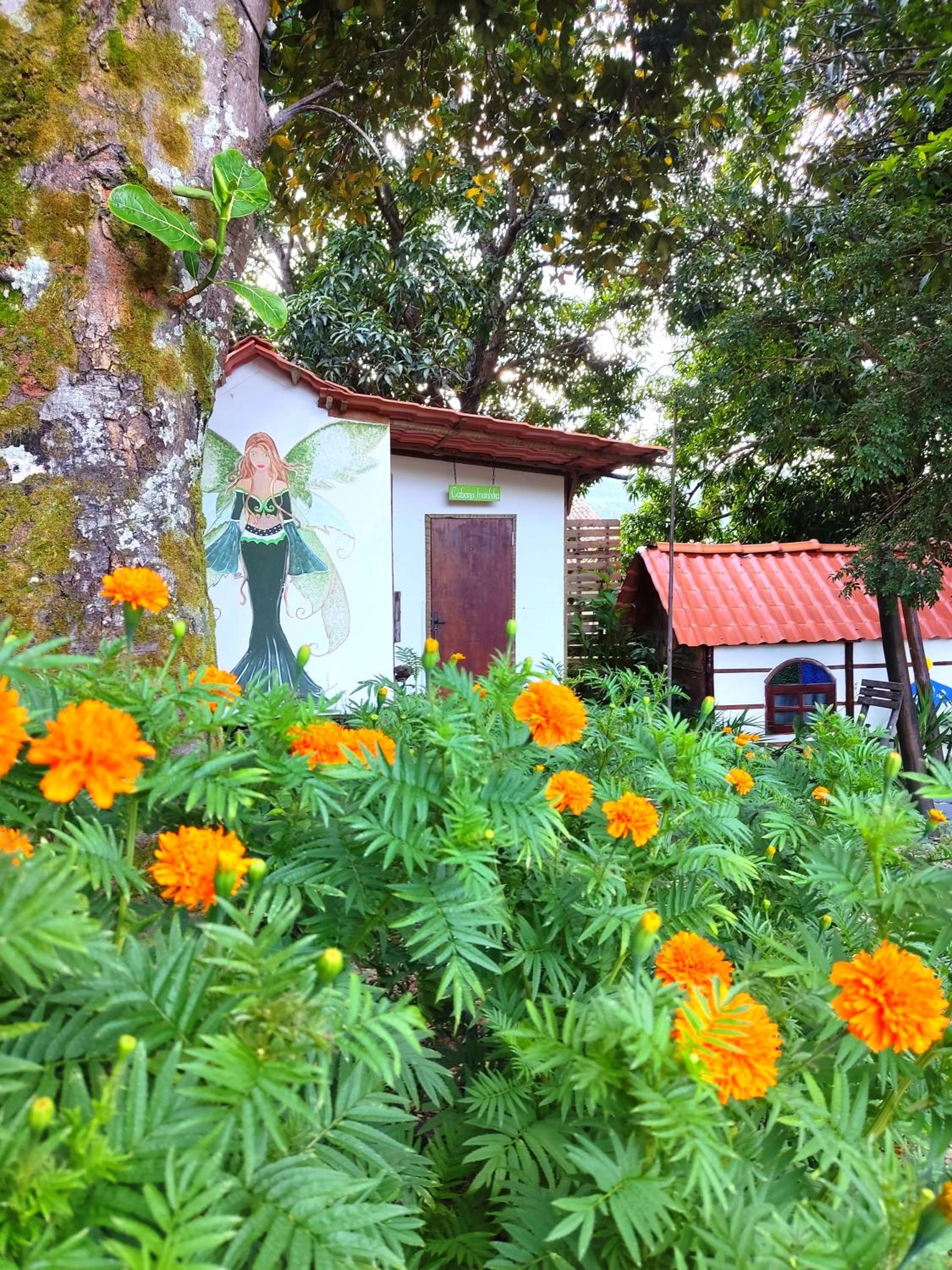 Bungalow - Photo 8