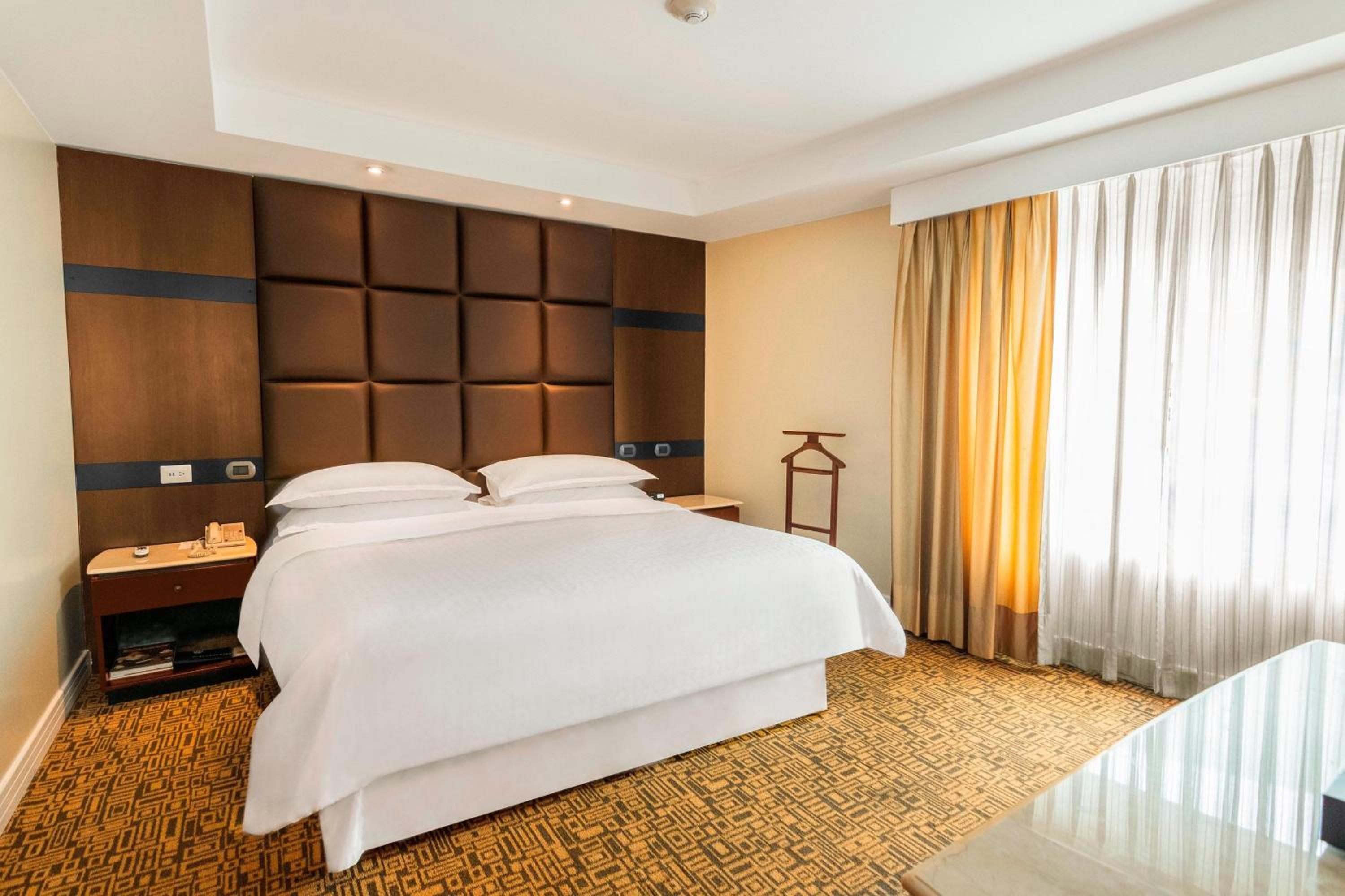 Junior Suite 1 King City View