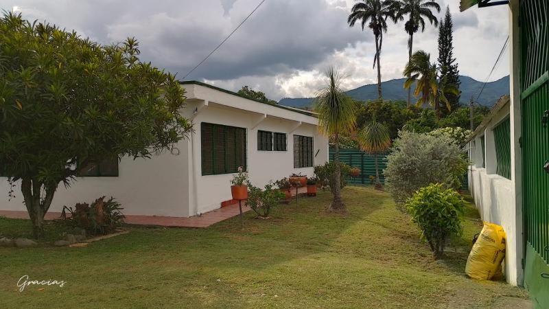 One-Bedroom House photo 3