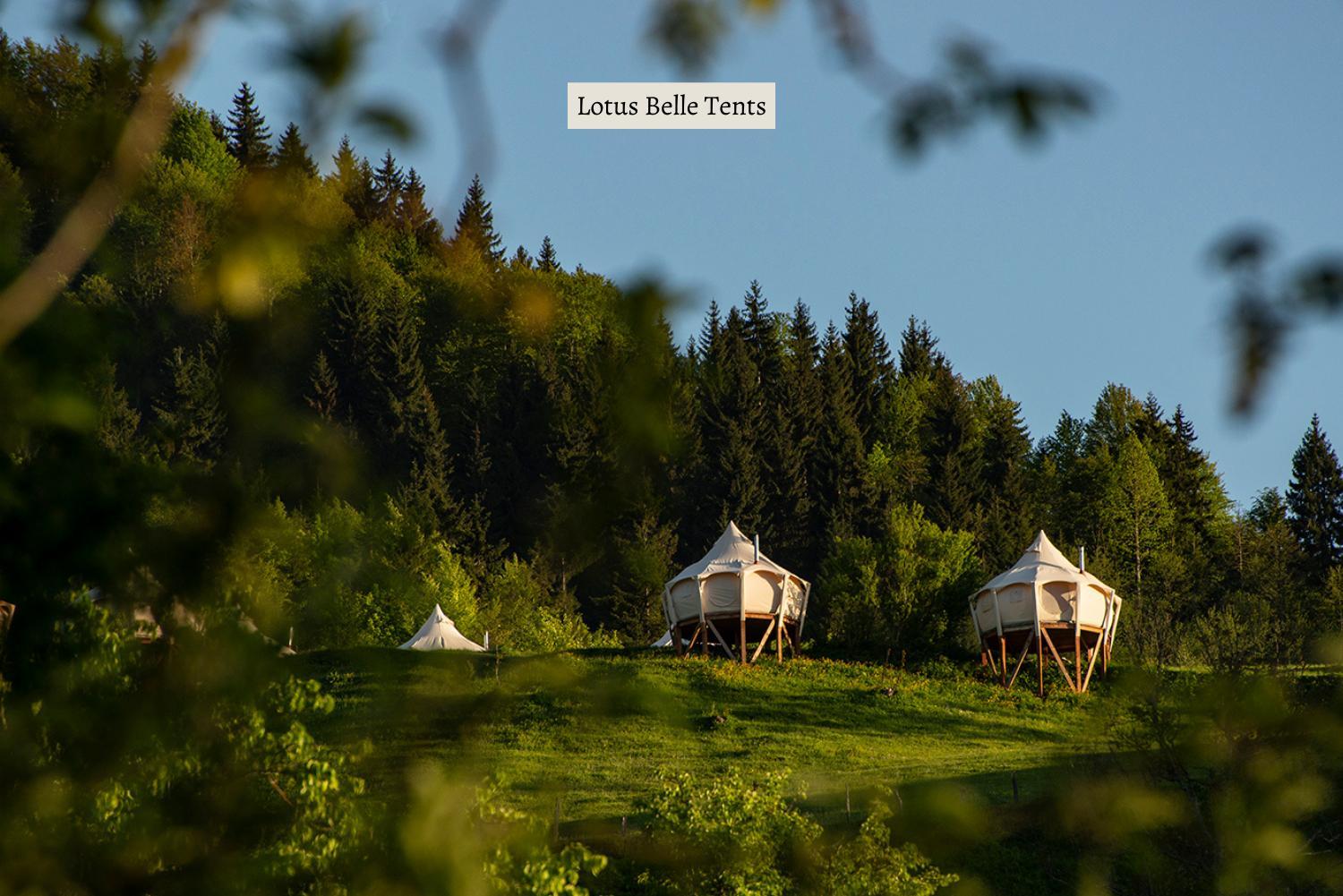 Lotus Belle tent- Mountain view  - Photo 4