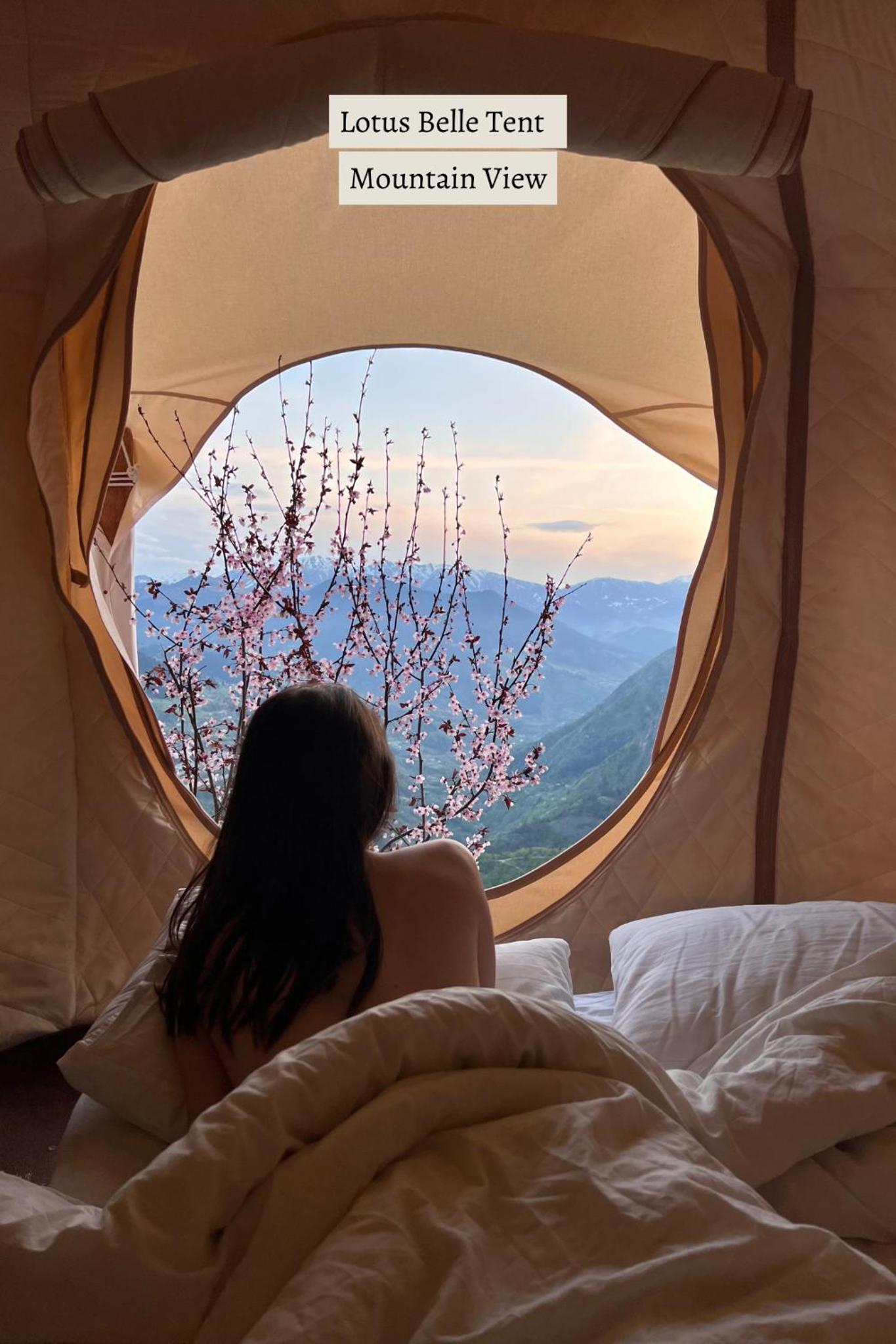 Lotus Belle tent- Mountain view  - Photo 9