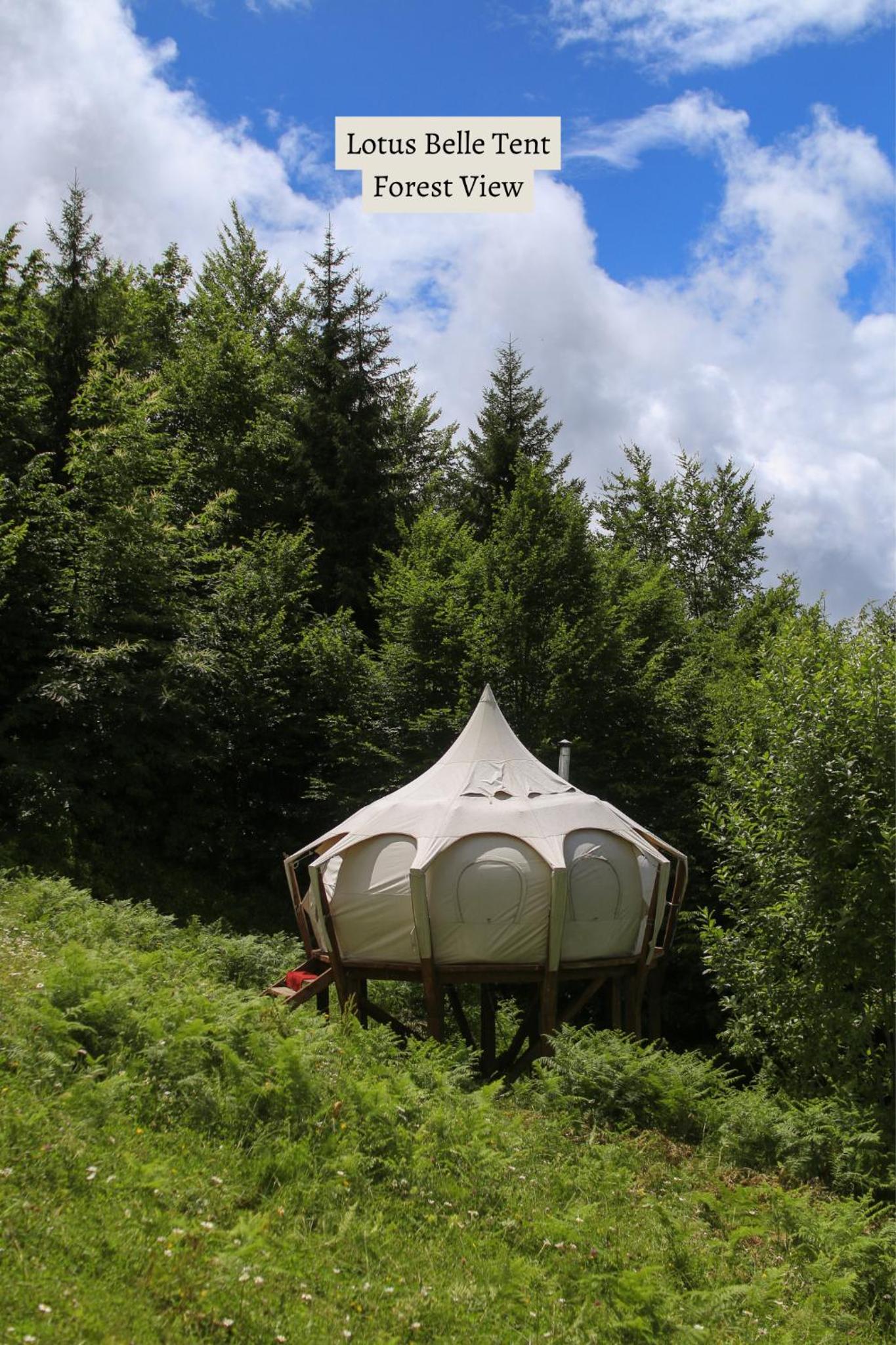 Tent - Photo 6
