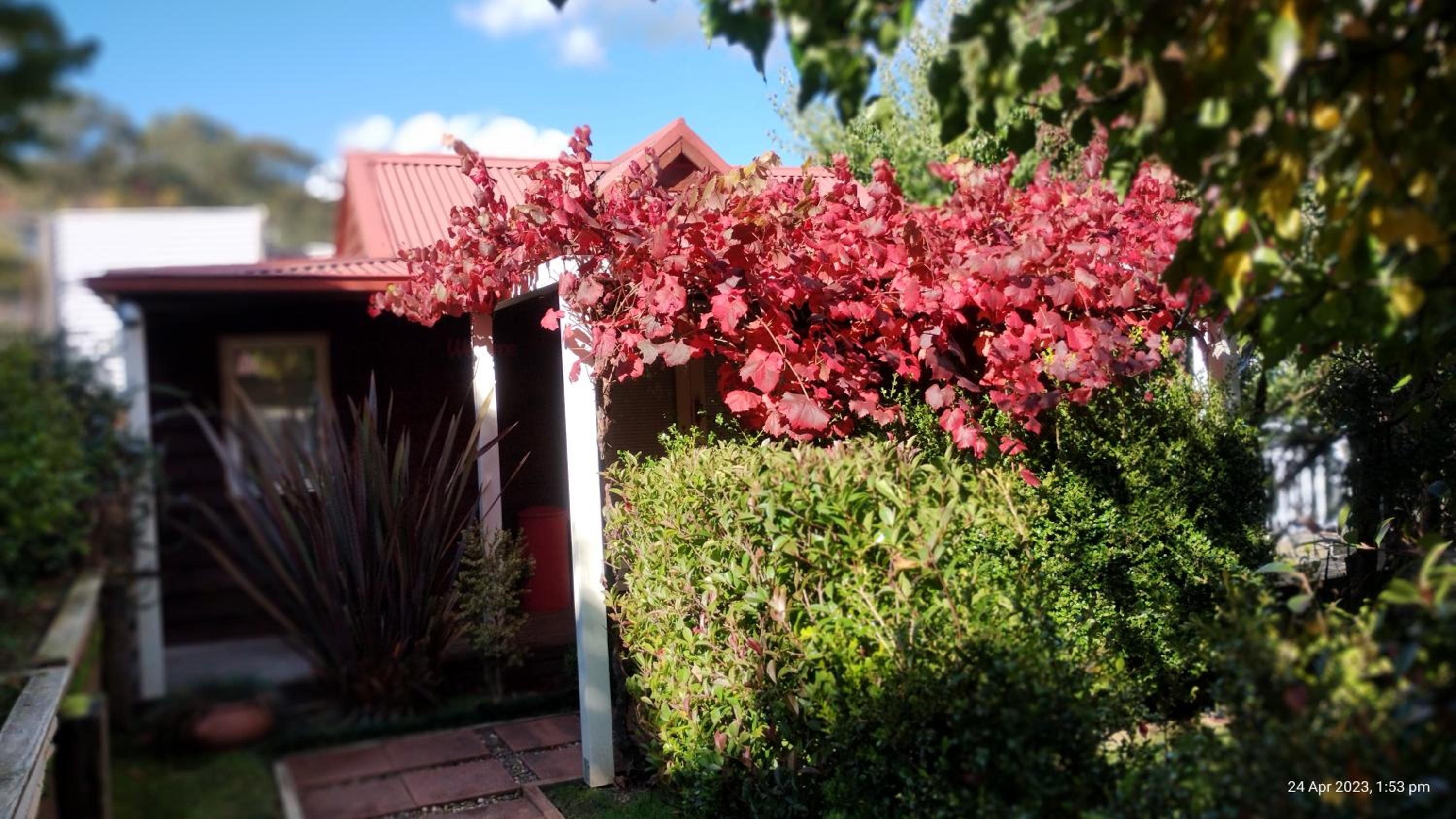 Deluxe Villa photo 2