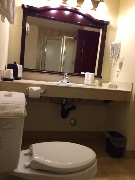 Deluxe King Suite - Non-Smoking - Photo 4