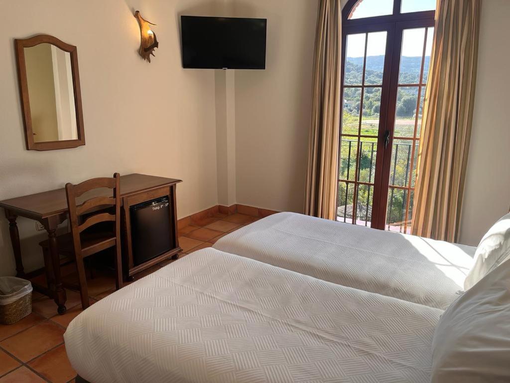 Large Single Room photo 2