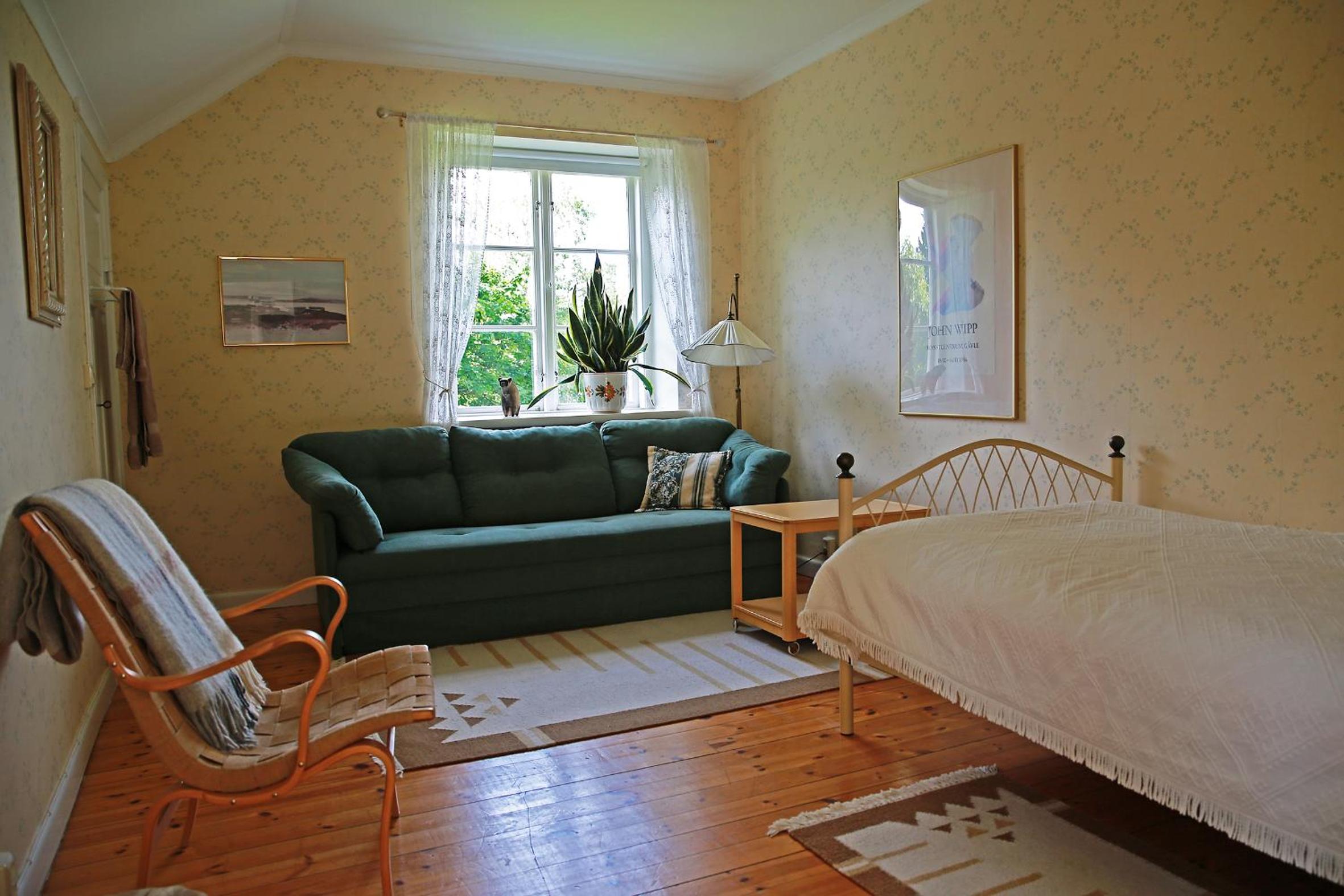 Single Room photo 1