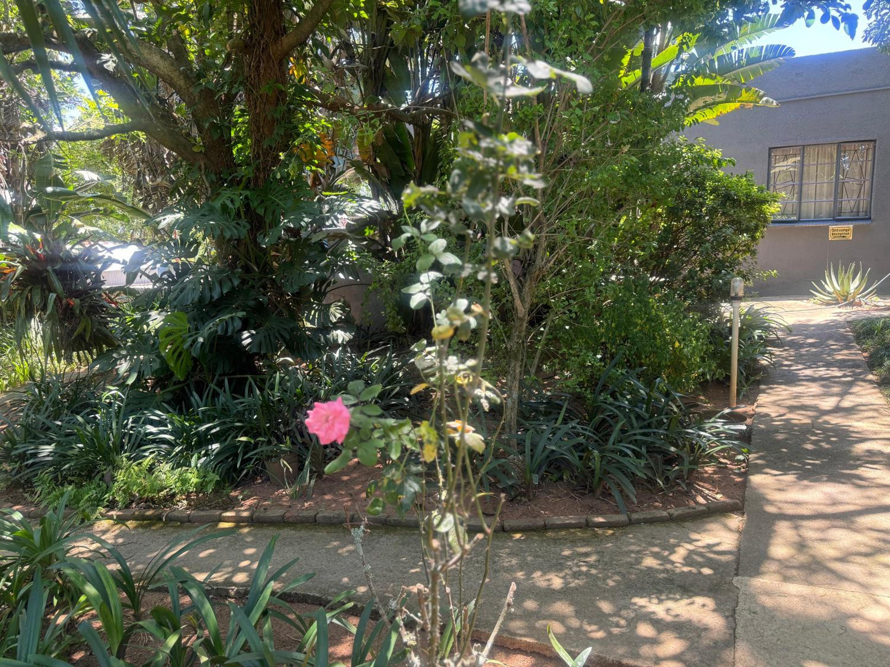 Queen Room with Garden View photo 2