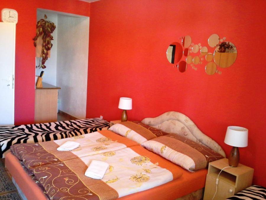 Studio with Terrace photo 2