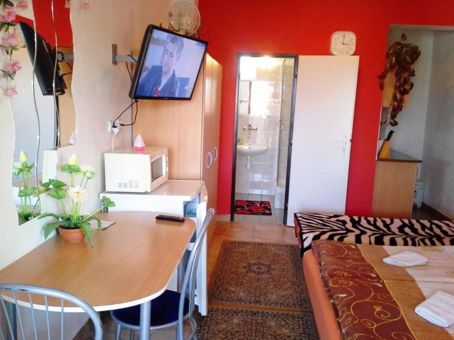 Studio with Terrace photo 1