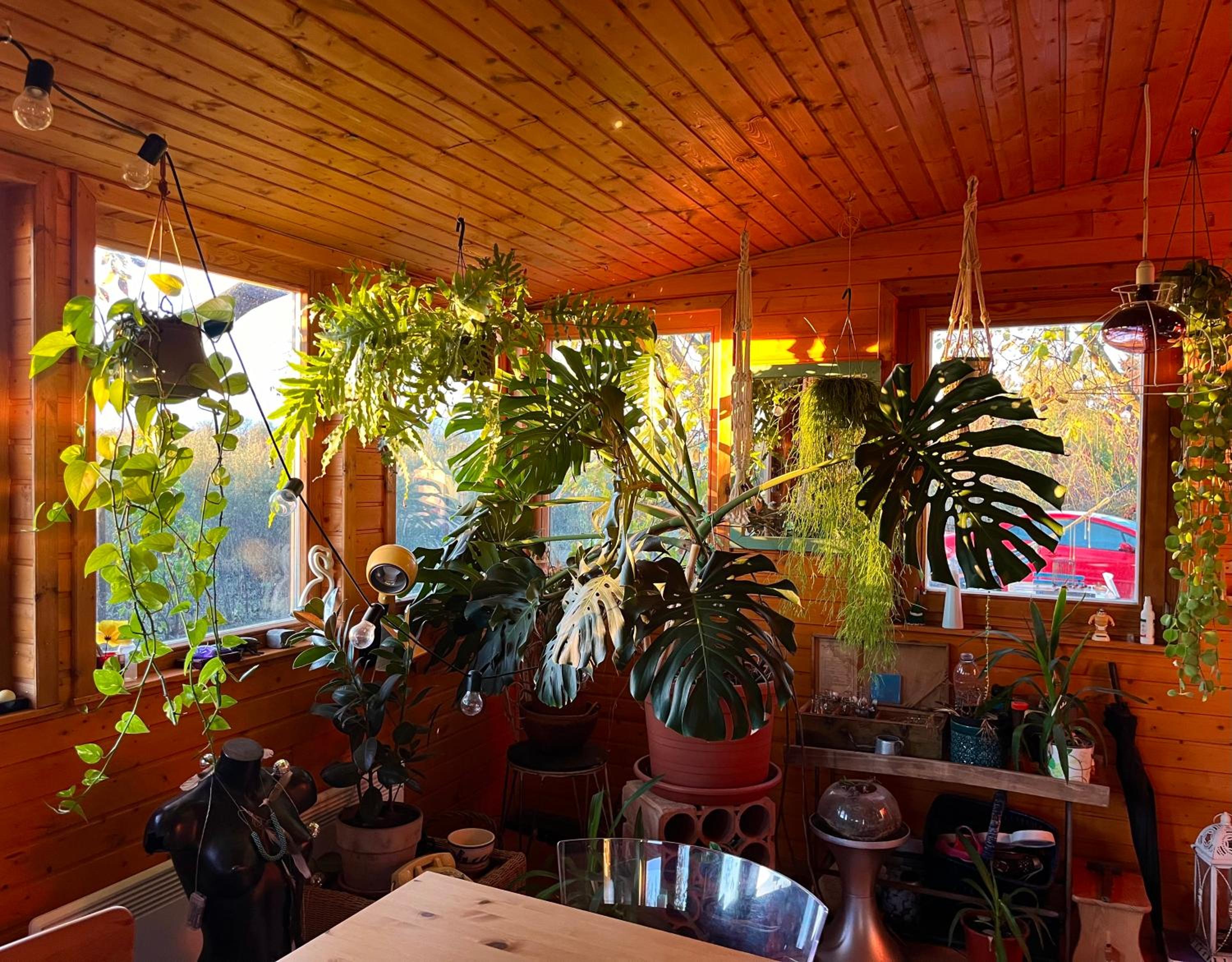 One-Bedroom House - Photo 7