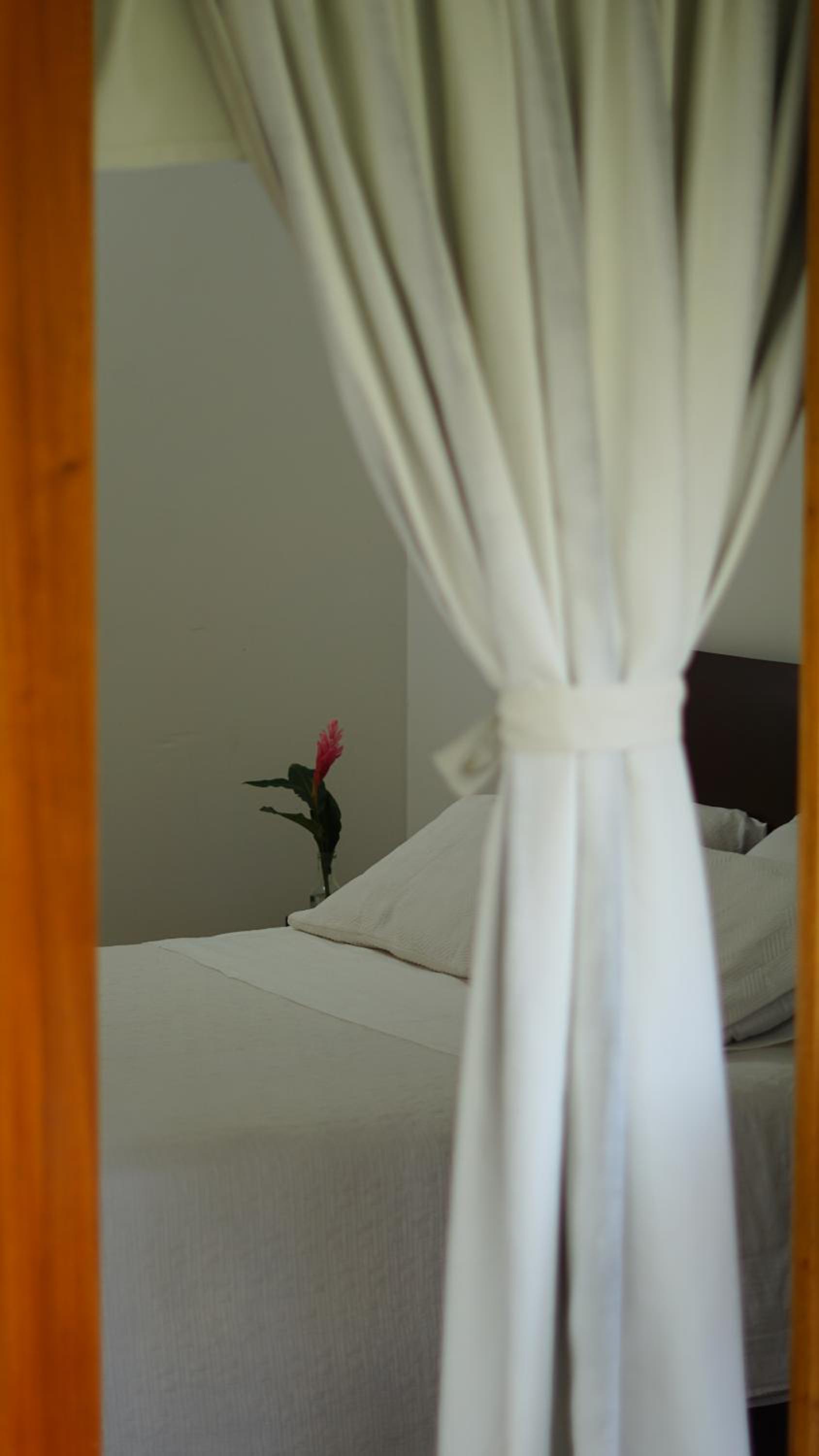 Family Suite photo 1