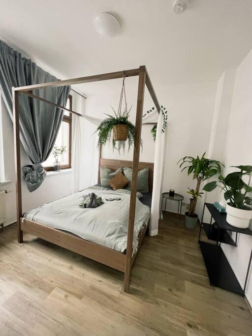 One-Bedroom Apartment photo 3