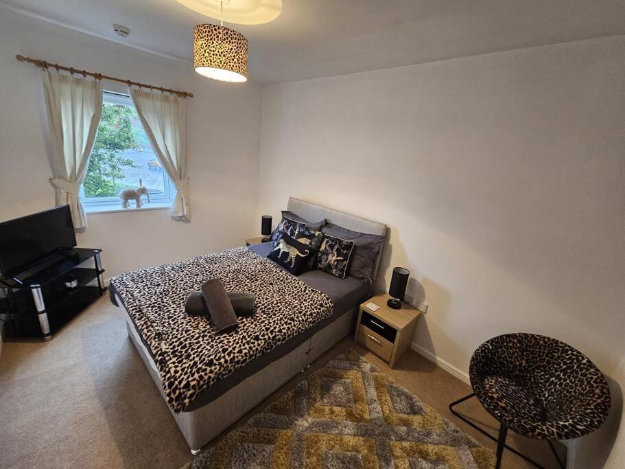Apartment photo 1