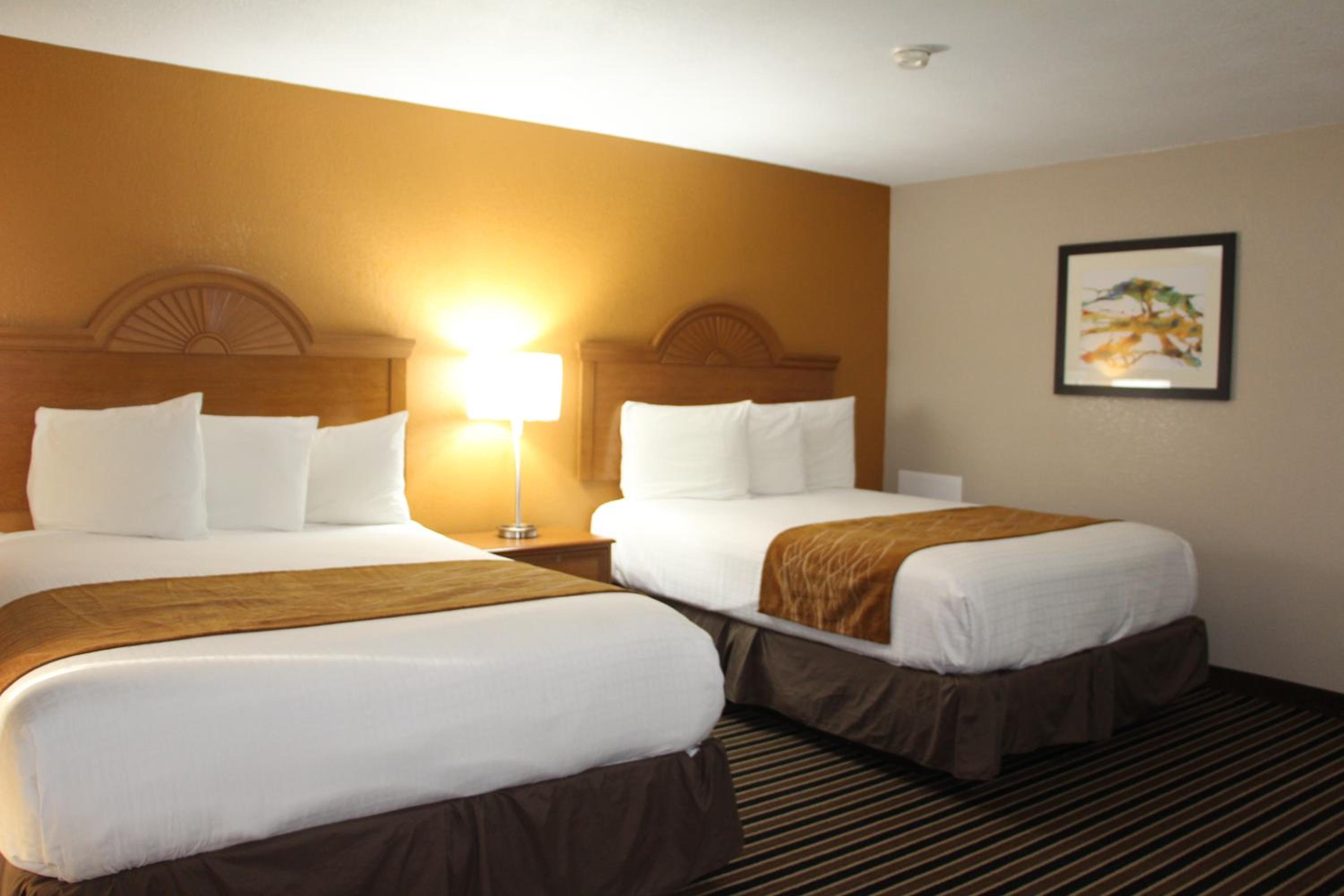 Queen Room with Two Queen Beds - Non-Smoking - Photo 13