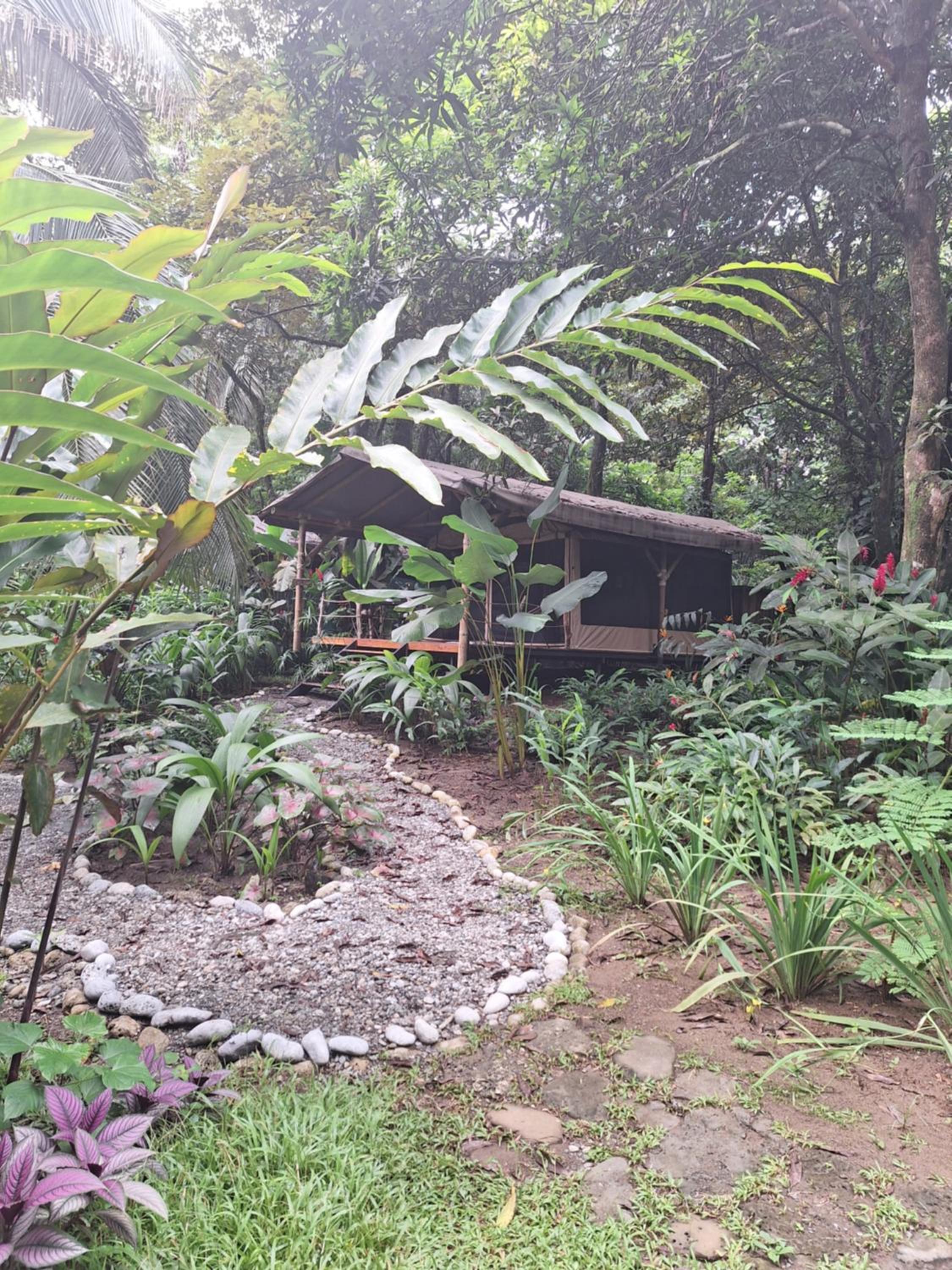 Deluxe Bungalow with Garden View photo 2
