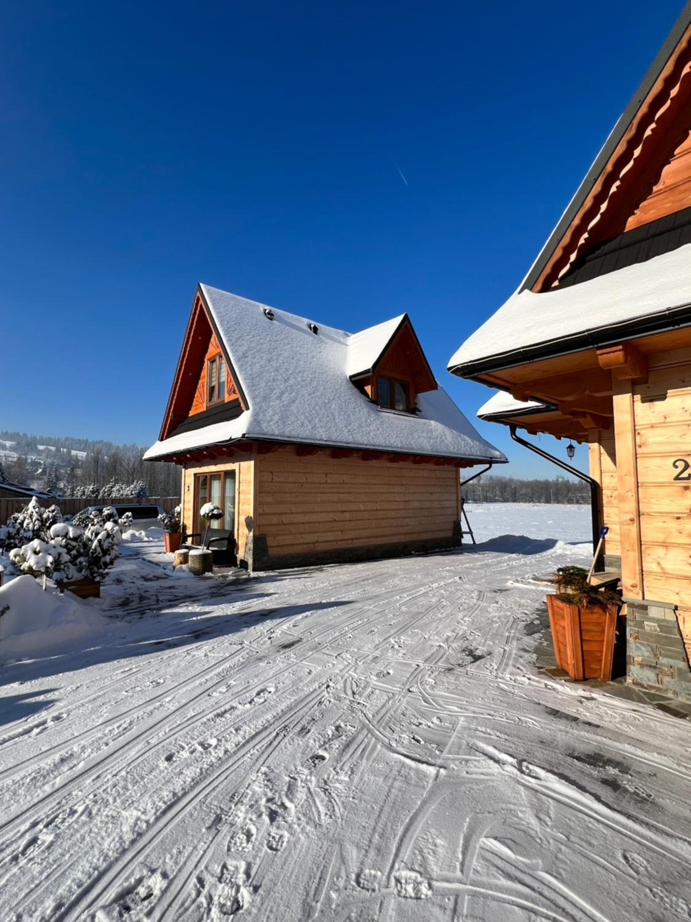Three-Bedroom Chalet photo 2