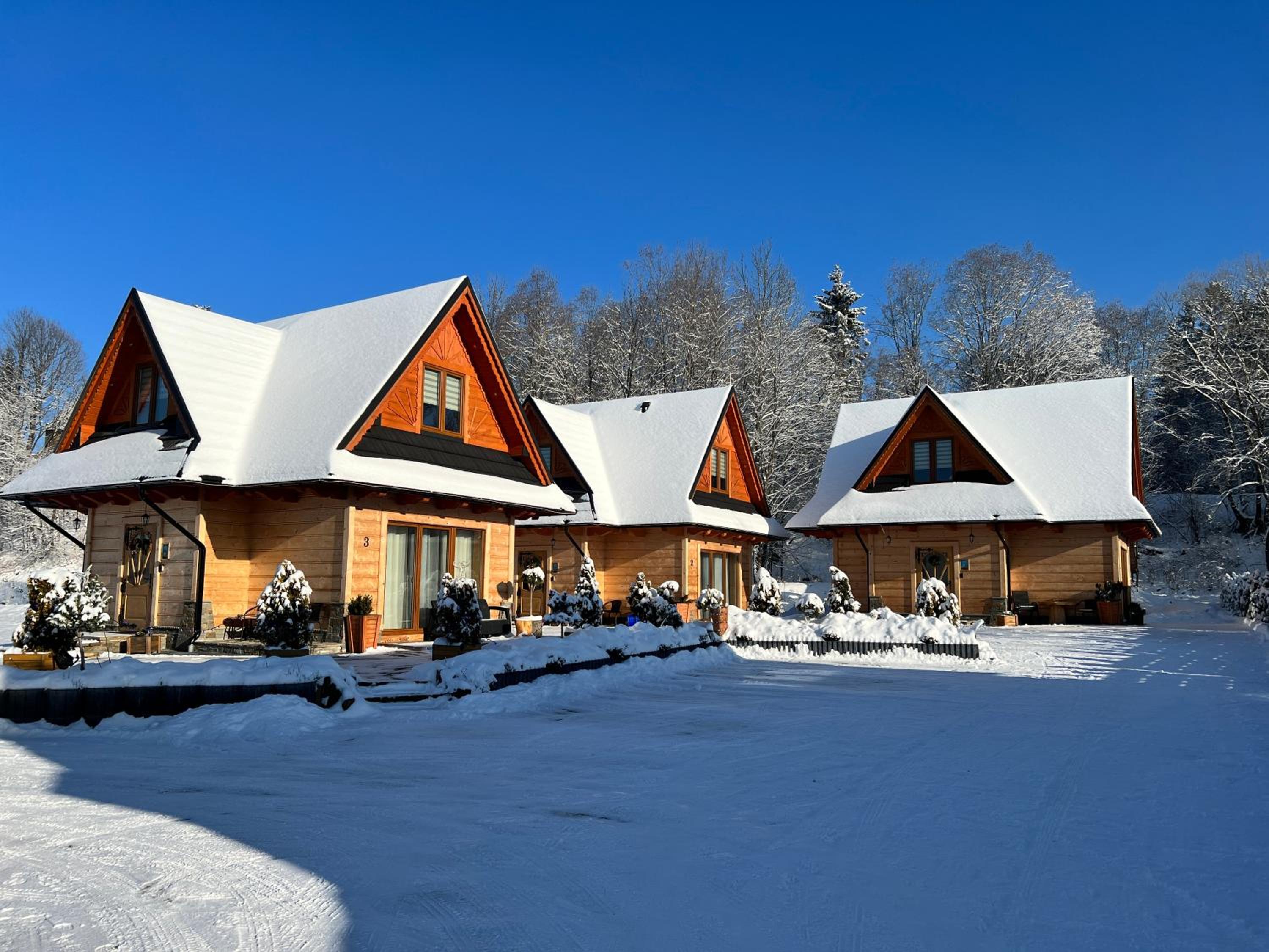 Three-Bedroom Chalet photo 3