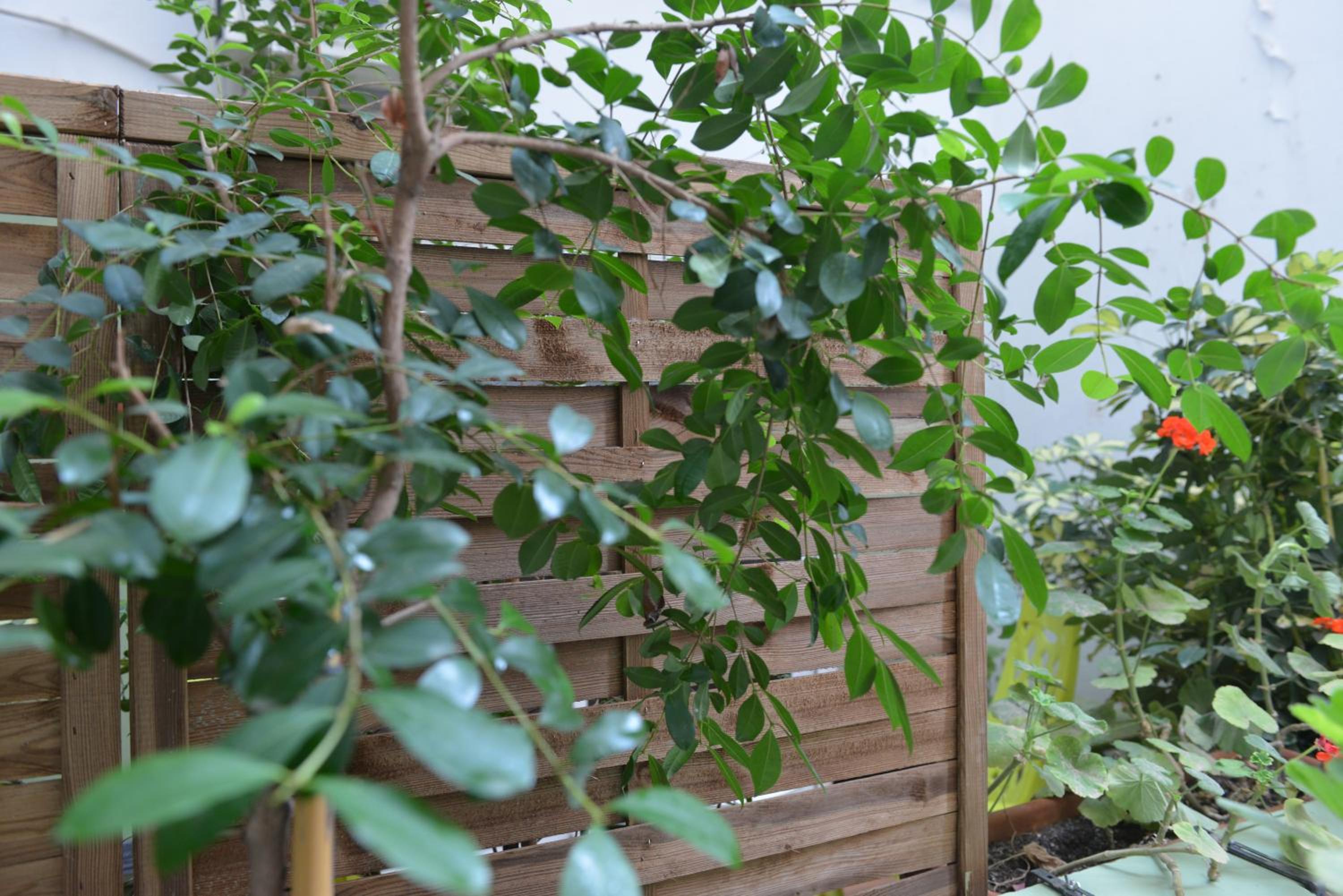Twin Room - Photo 18