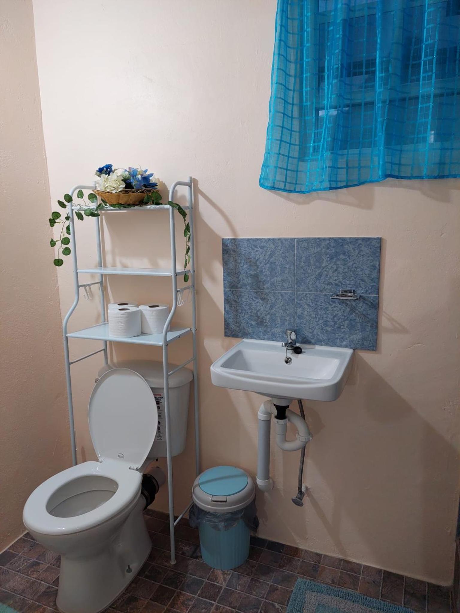 Deluxe Double or Twin Room with Mountain View photo 3