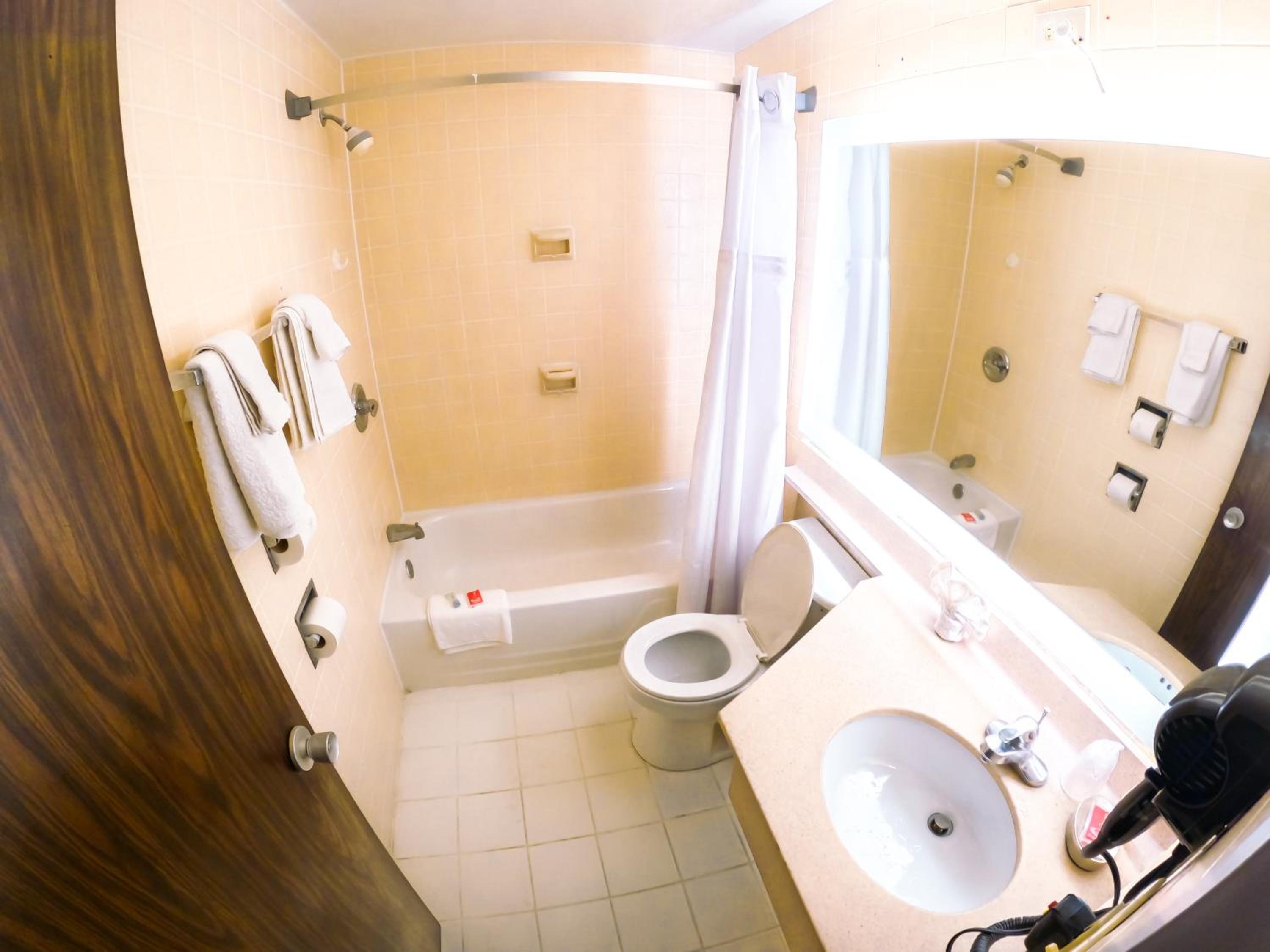 King Suite photo 3