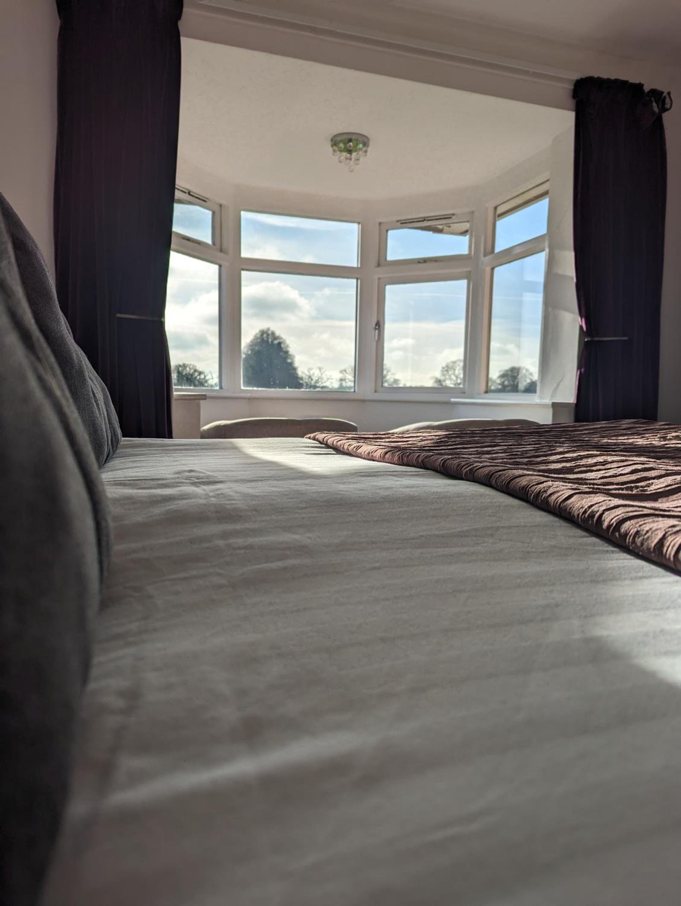 King Room with Garden View photo 3