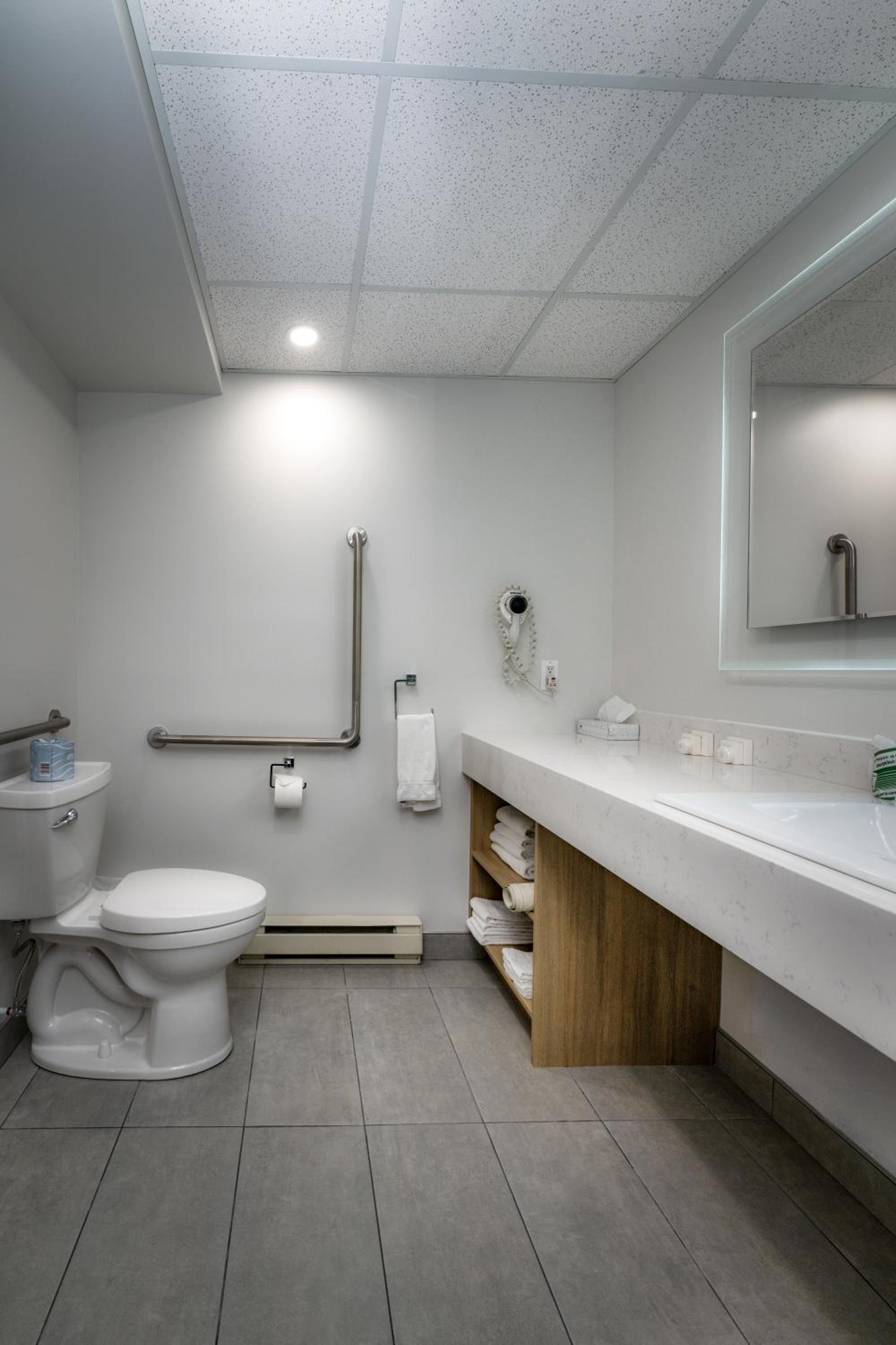 King Room - Non-Smoking/Accessible