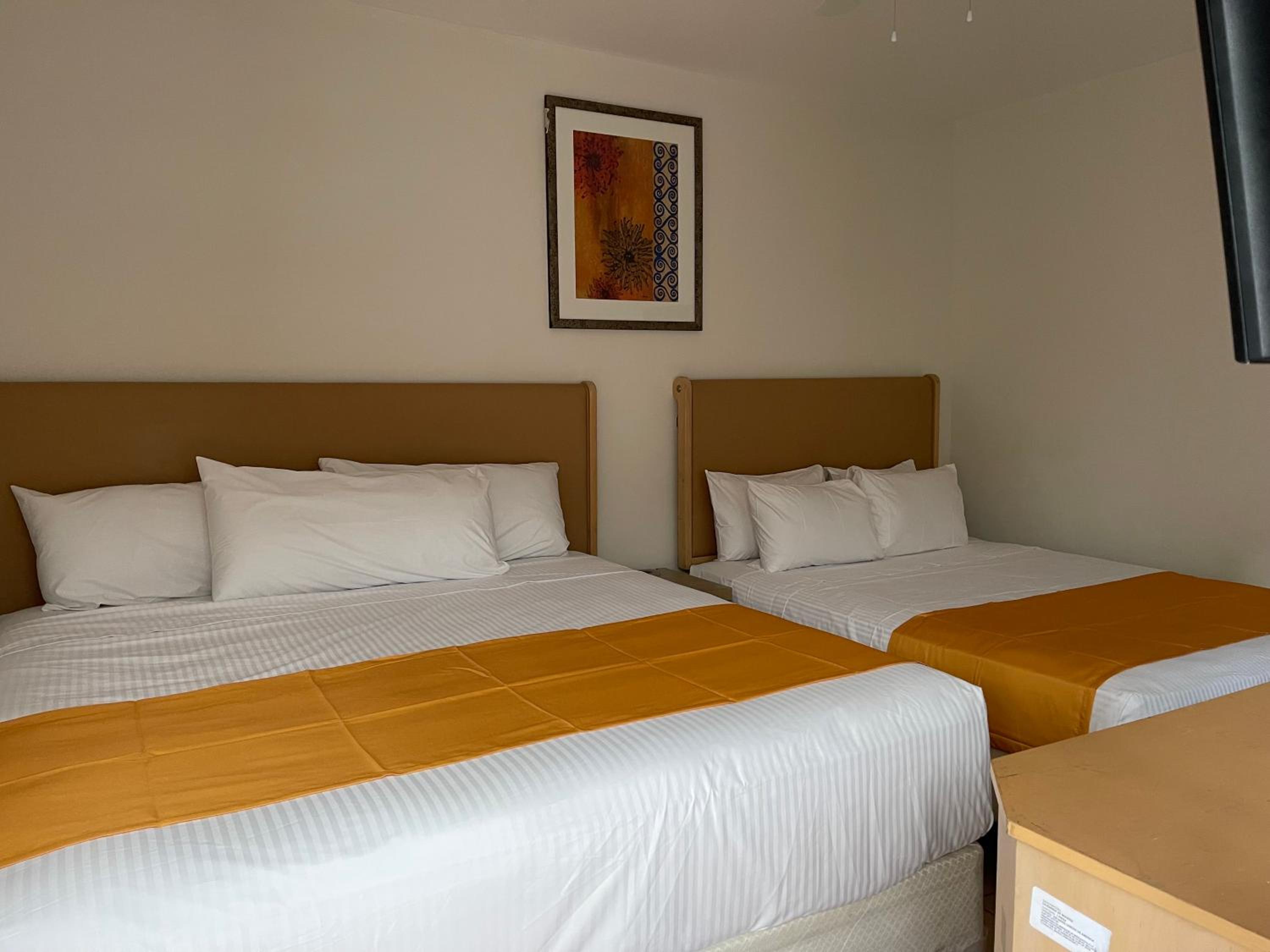 Twin Room photo 1