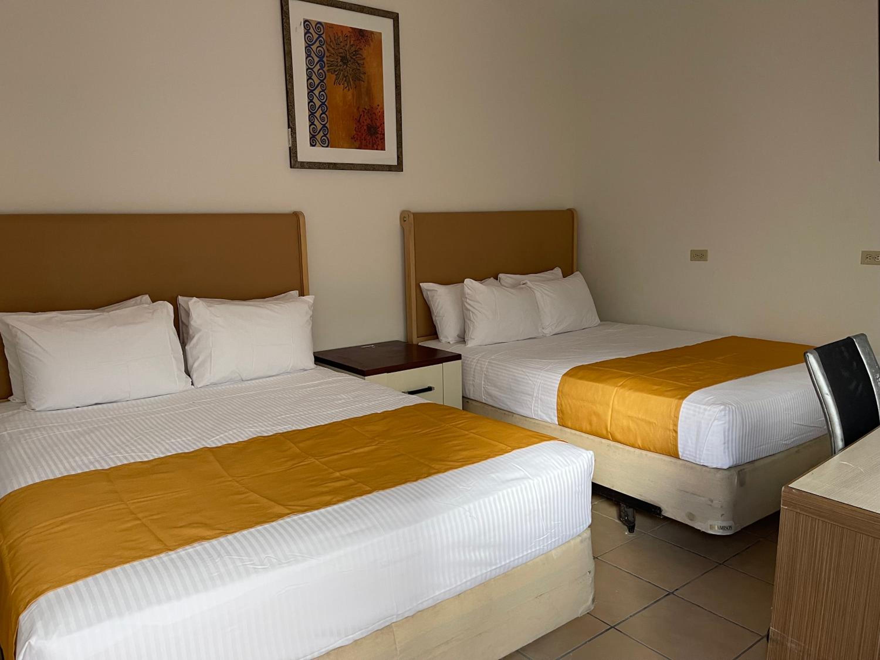 Twin Room photo 2