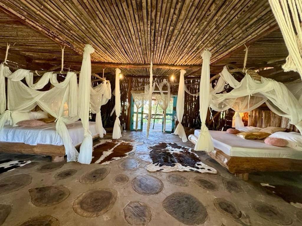 Deluxe Villa photo 1