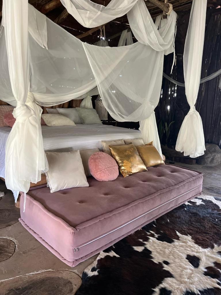 Deluxe Villa photo 2