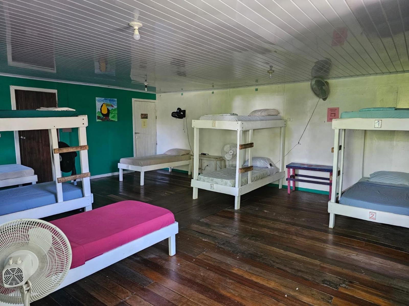 Bed In 8-Bed Mixed Dormitory Room photo 2