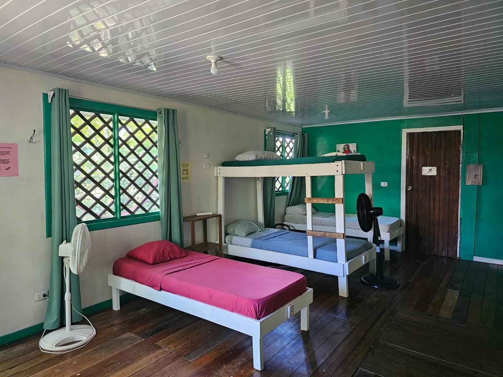 Bed In 8-Bed Mixed Dormitory Room photo 1