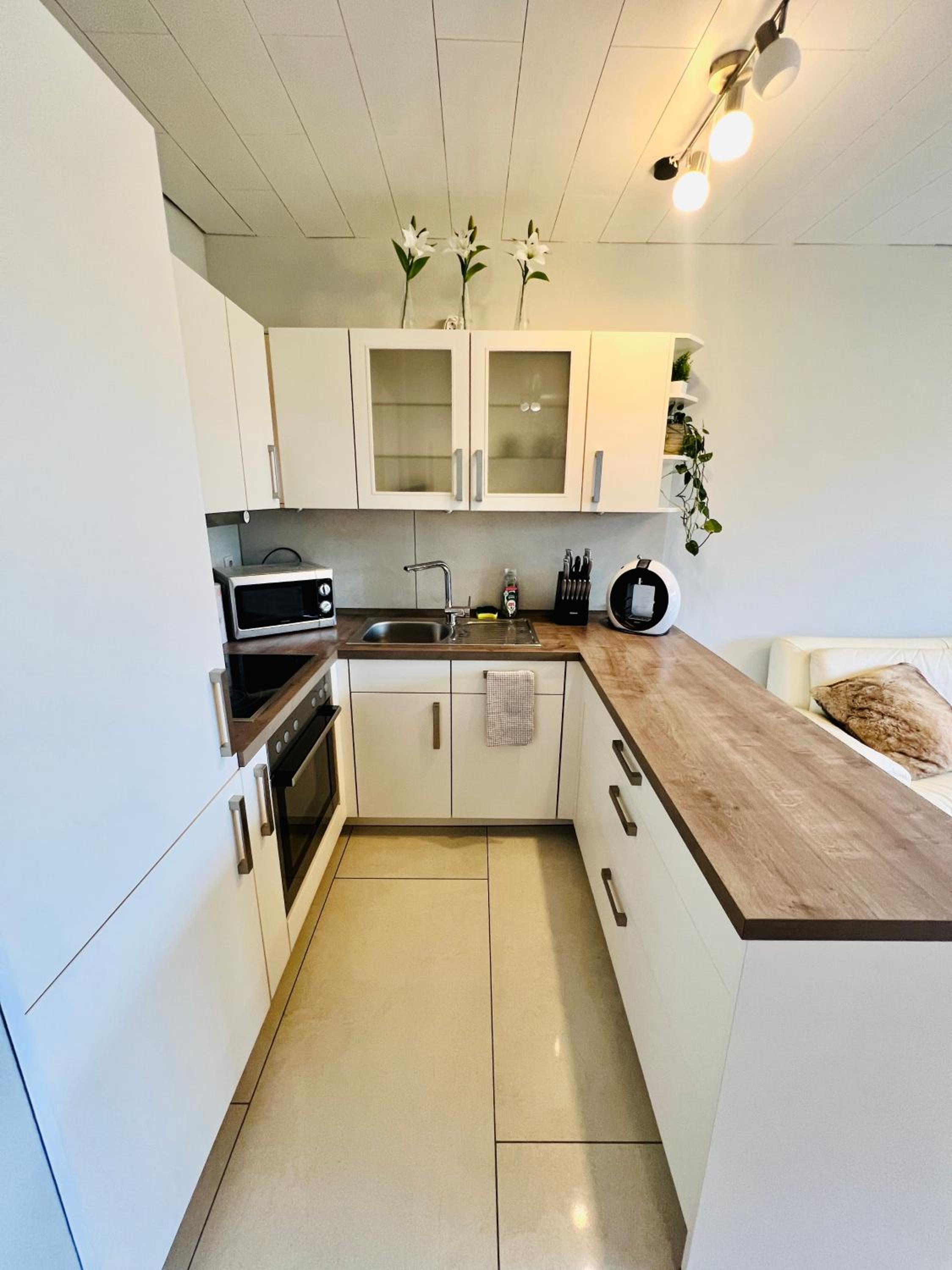 One-Bedroom Apartment photo 2