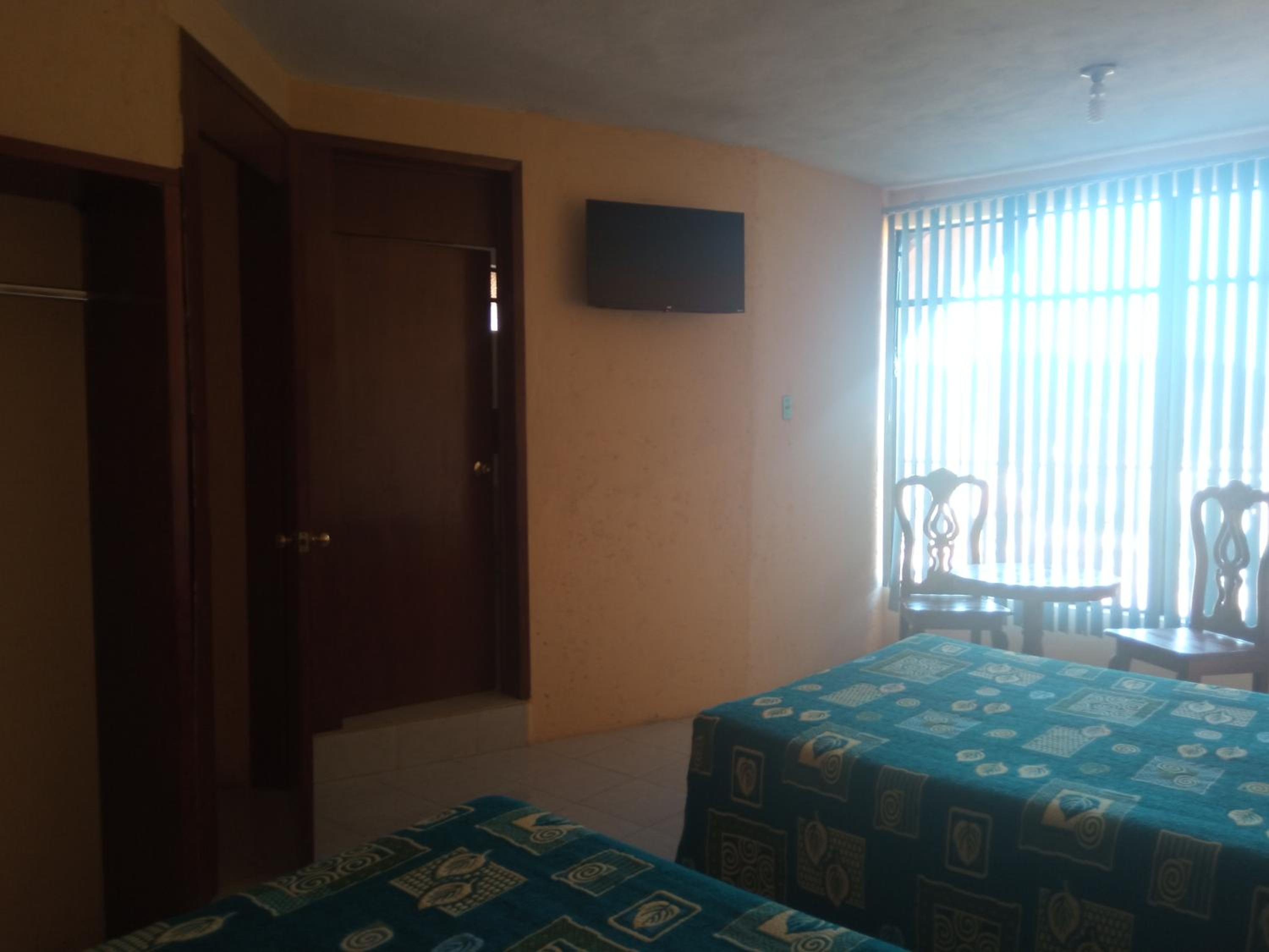 Twin Room photo 3