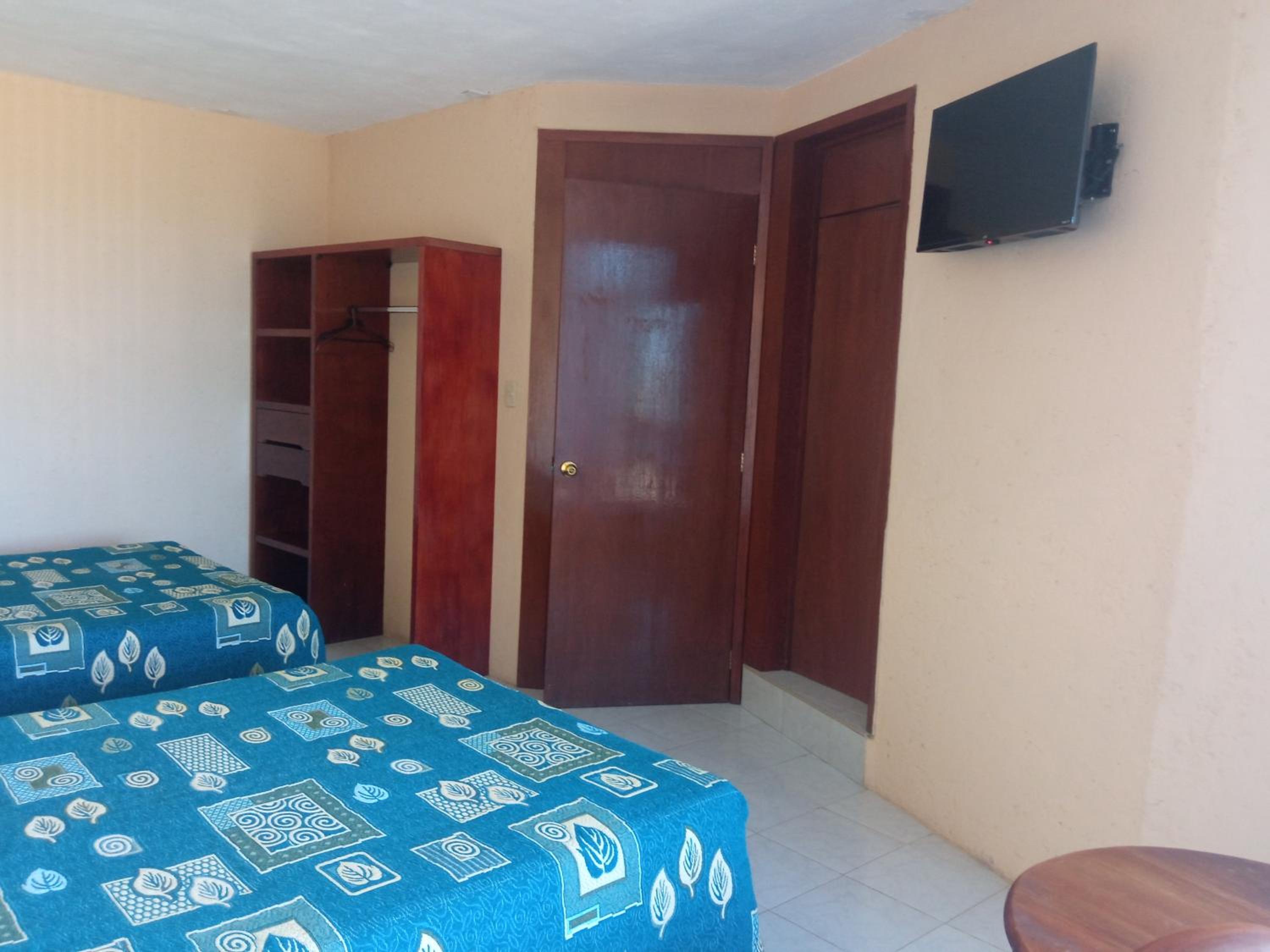 Twin Room photo 2