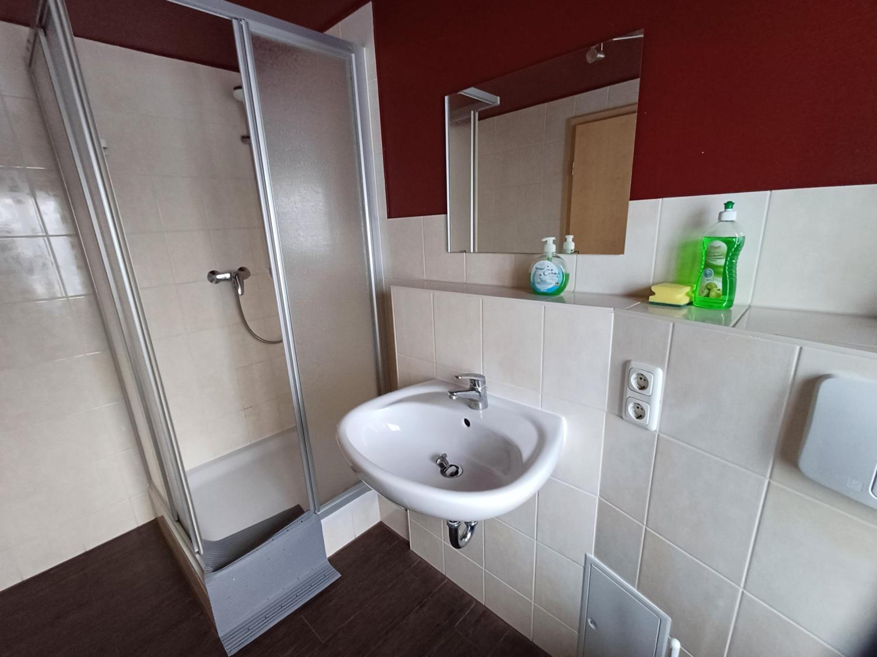 Apartment with Shower photo 2