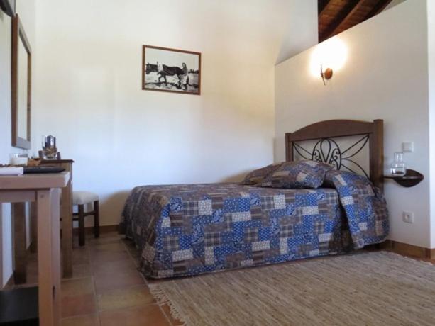 Suite con Terraza